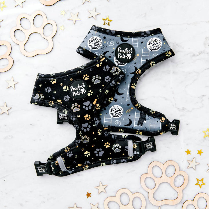 Reversible harness in the I Love You BEARy Much Walkies Pack.