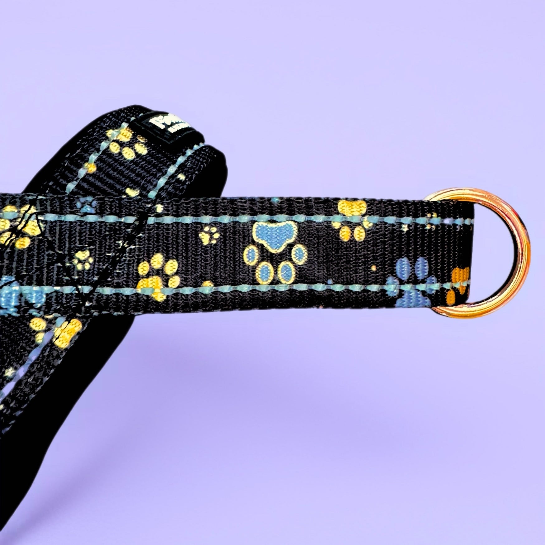 Dog leash with paw print pattern on a purple background