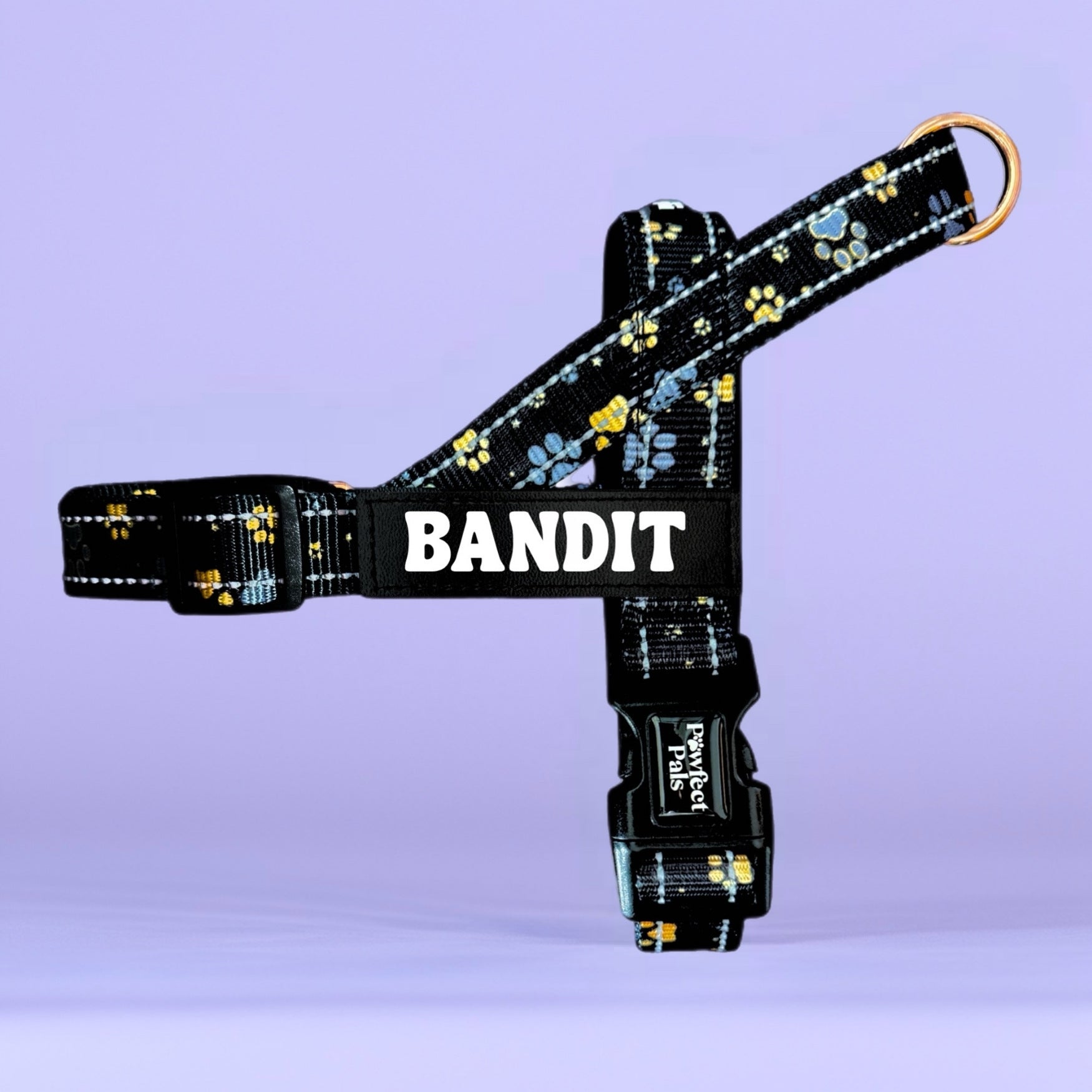 Dog harness with paw print pattern and 'BANDIT' branding on a purple background