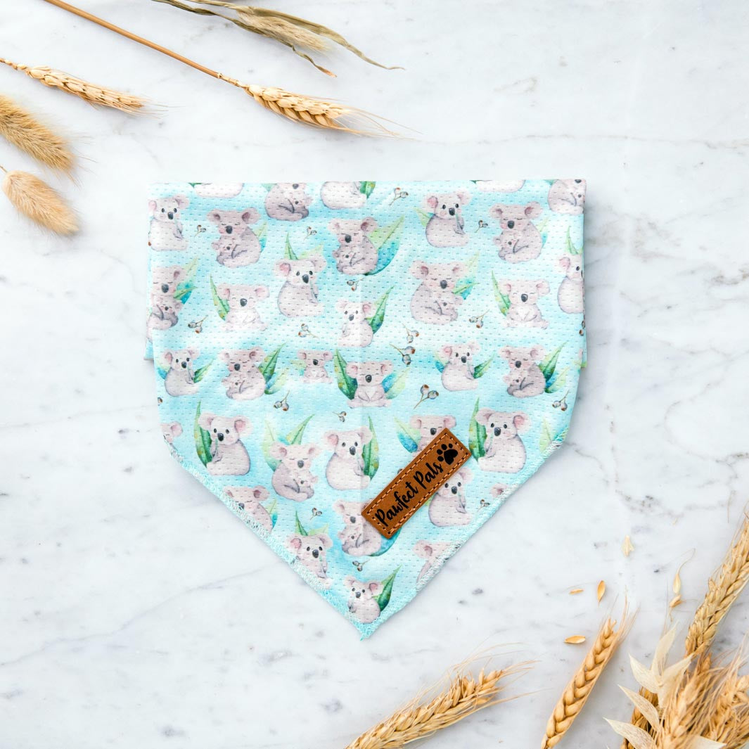 Koalified Cuddler - Koala cooling bandana.