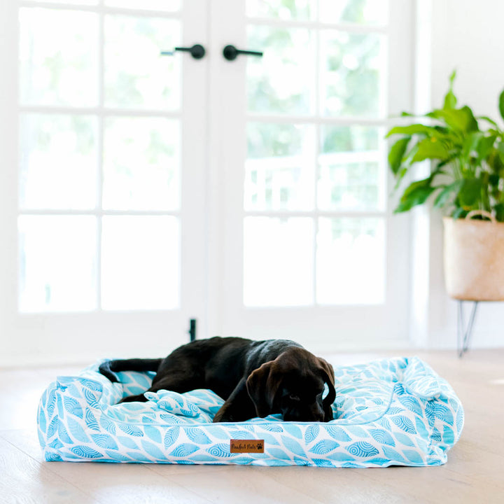 Koalified Cuddler snuggle bud dog bed in large.