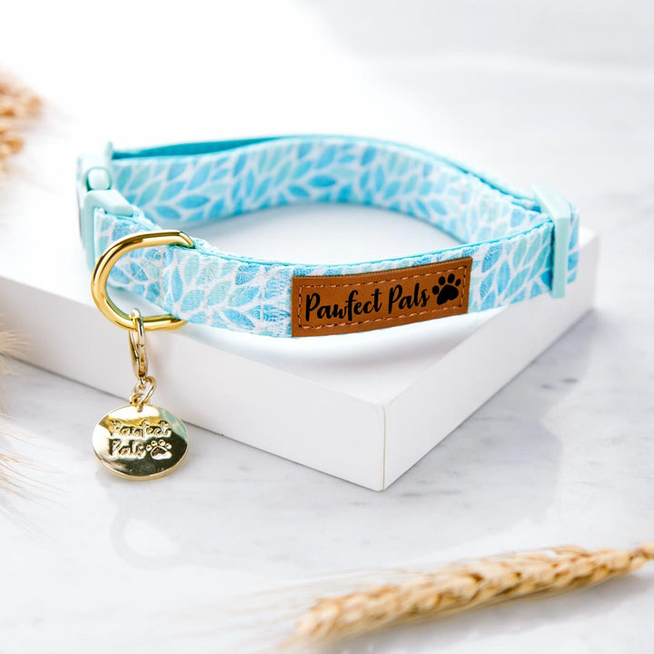Koalified Cuddler - Leaves soft collar.