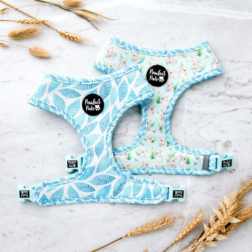 Reversible harness in the Koalified Cuddler Walkies Pack.