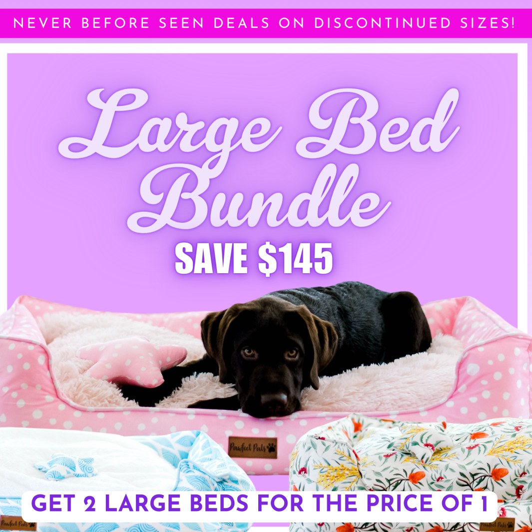 Buy one large snuggle bed, get a second free!