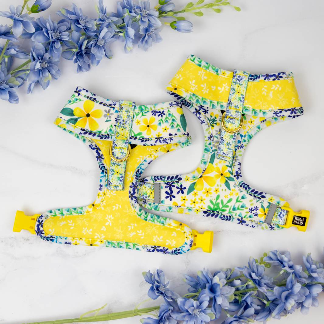 Underside of the Little Blossom reversible dog harness.