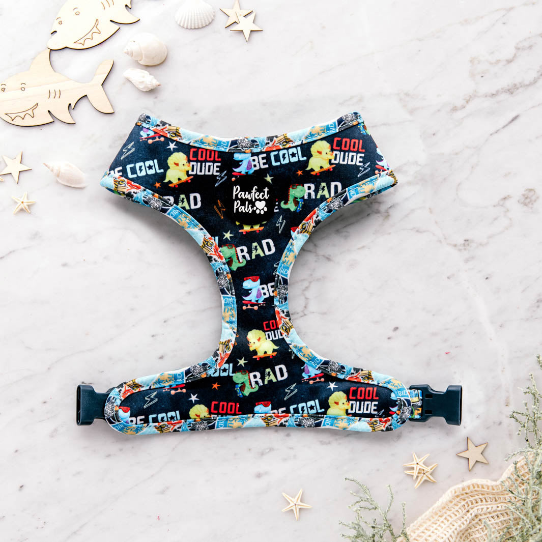 Cool Dude side of the Little Dude reversible harness.