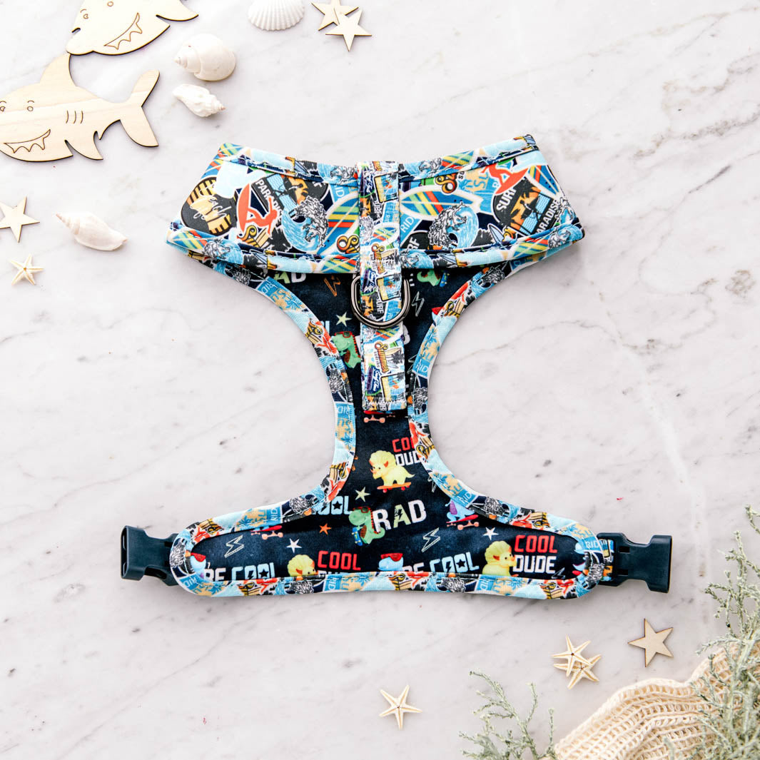 Underside of the Little Dude reversible harness.
