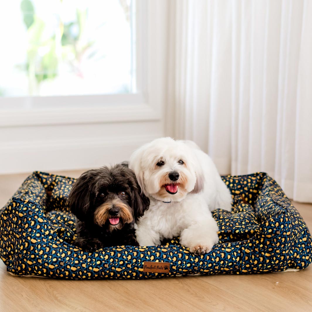 AmbassaDOG on the large Midnight Leopard Snuggle Bud dog bed.