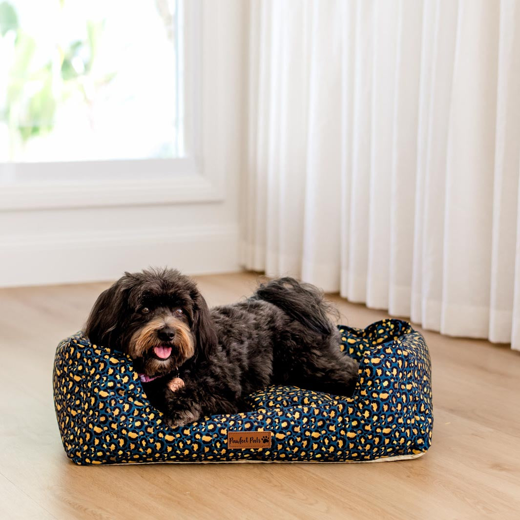 AmbassaDOG on the small Midnight Leopard Snuggle Bud dog bed.