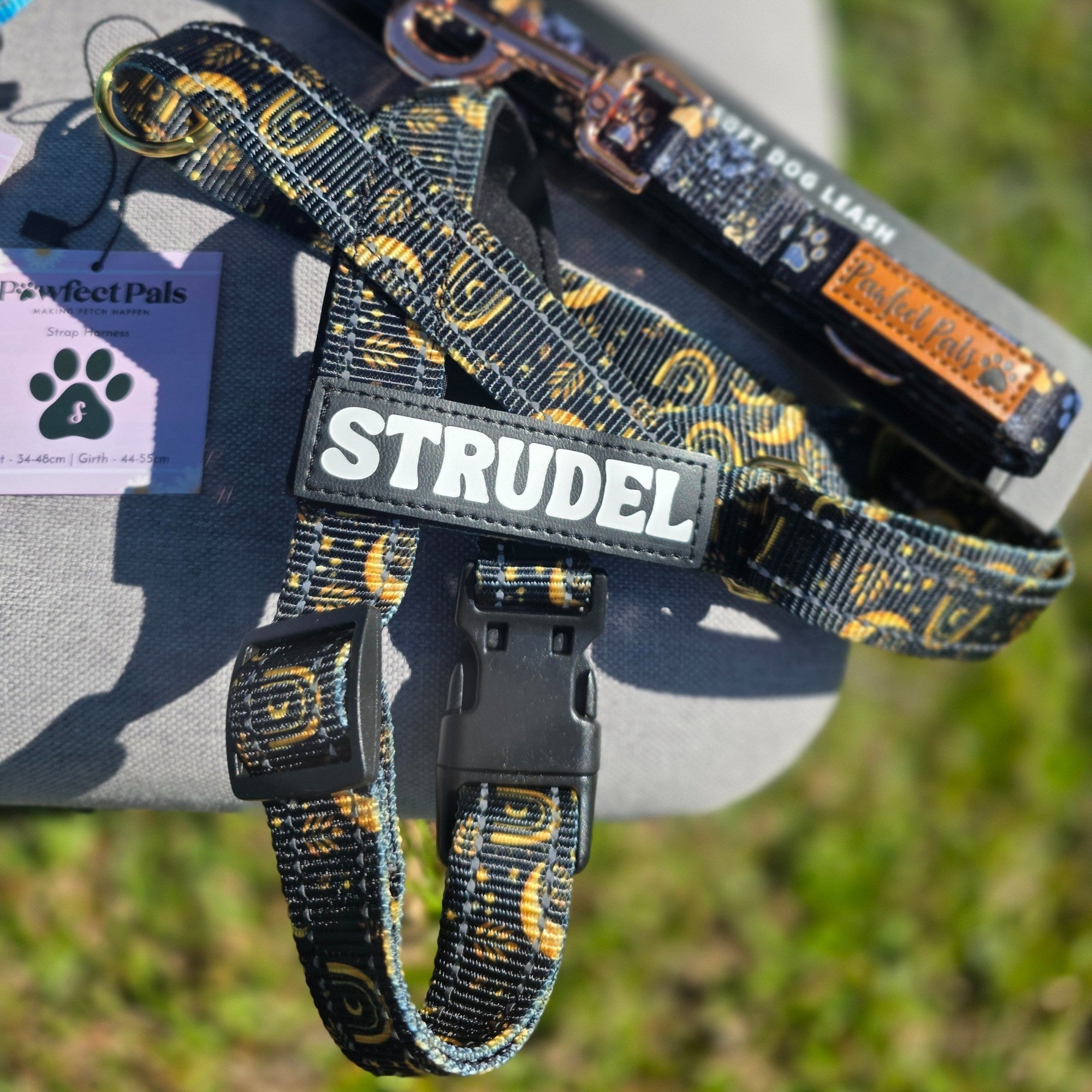 Dog leash and collar with 'Strudel' branding on a grassy background
