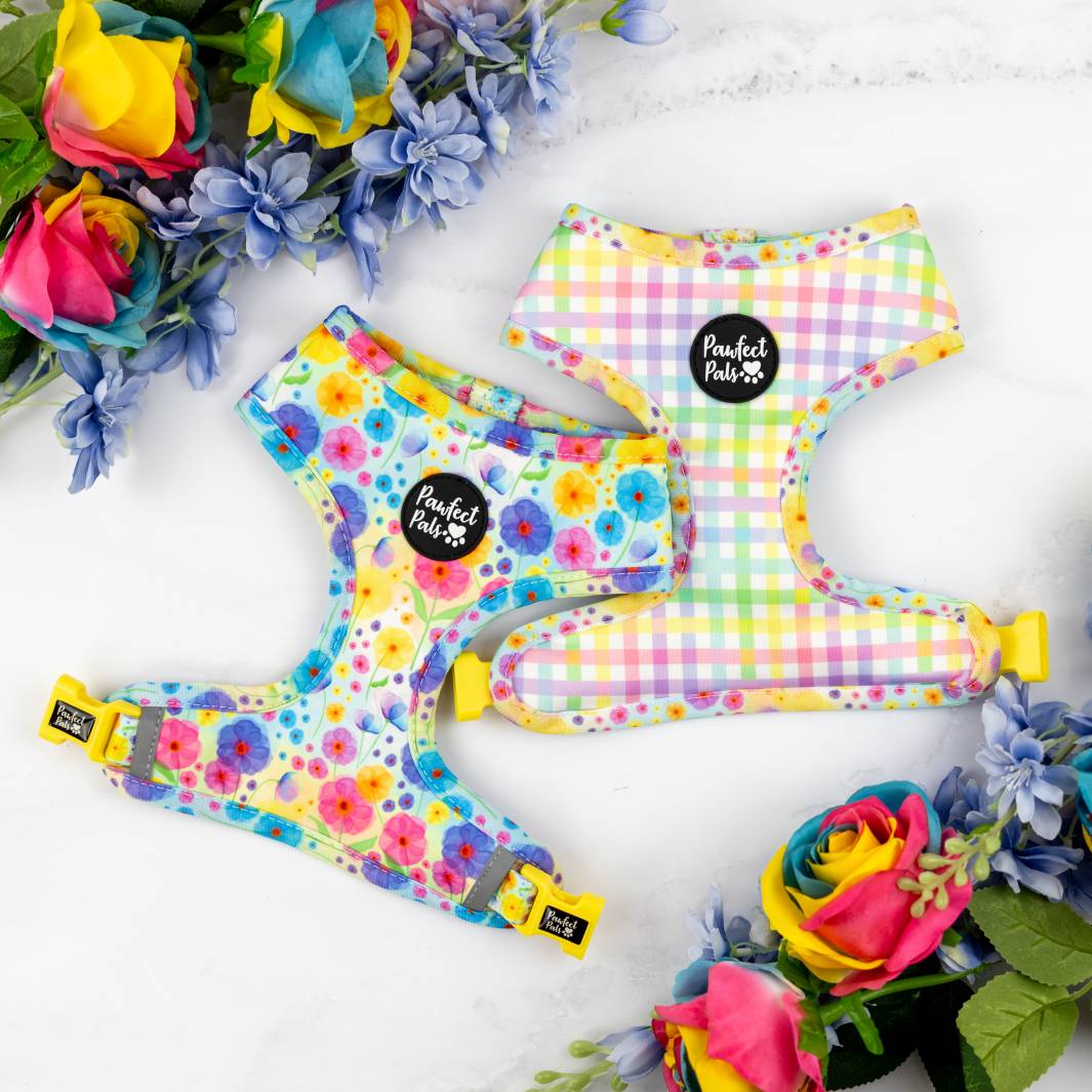 Reversible harness in the Once and Flor-All Walkies Pack.