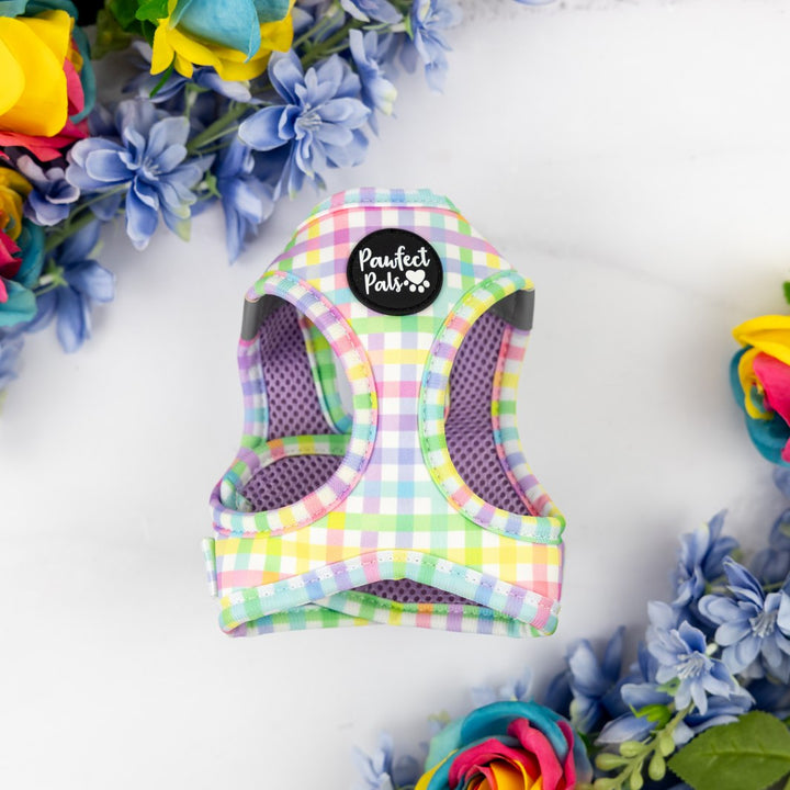 Once and Flor-all - Gingham cat harness.
