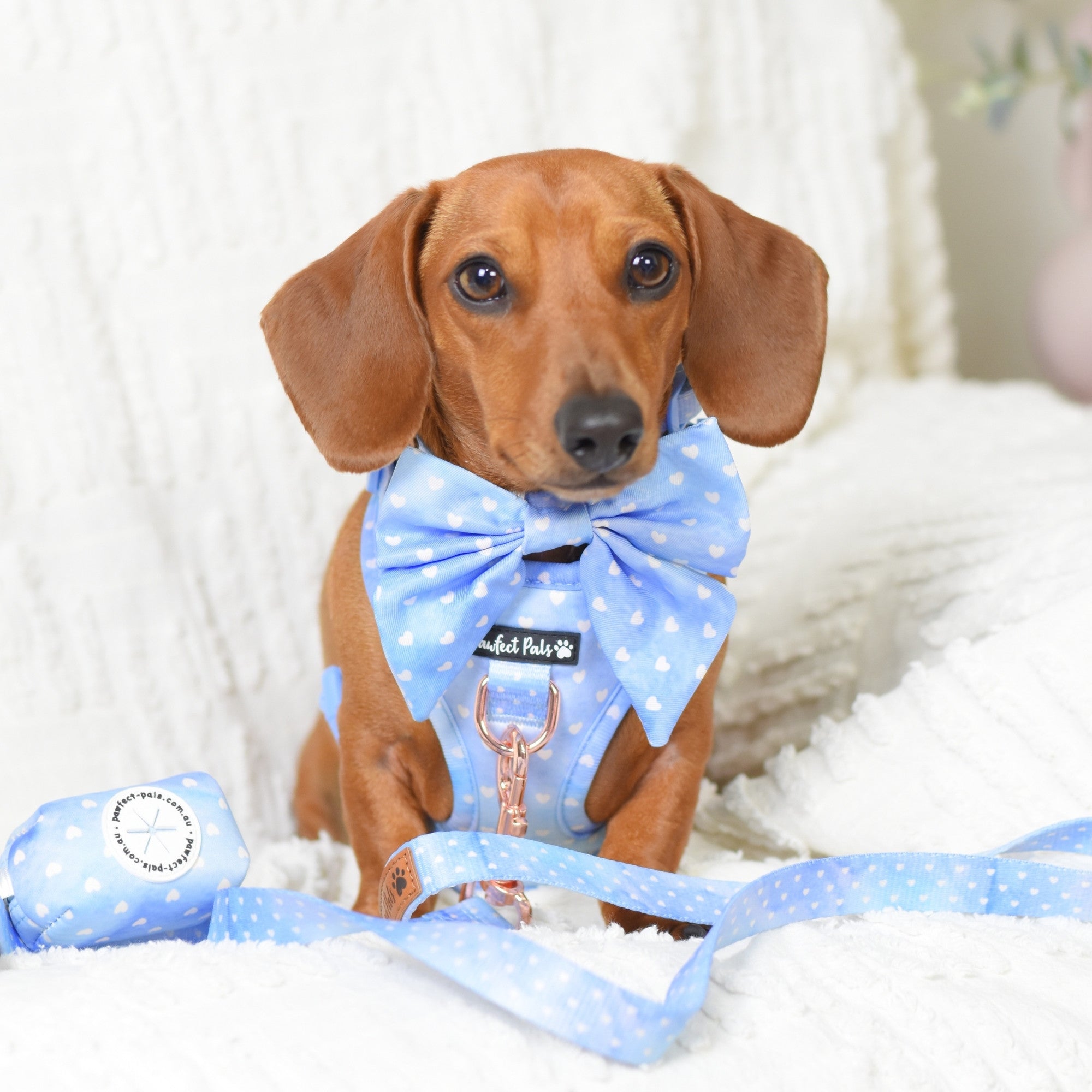 Once Upon a Flower - Hearts Walkies Pack