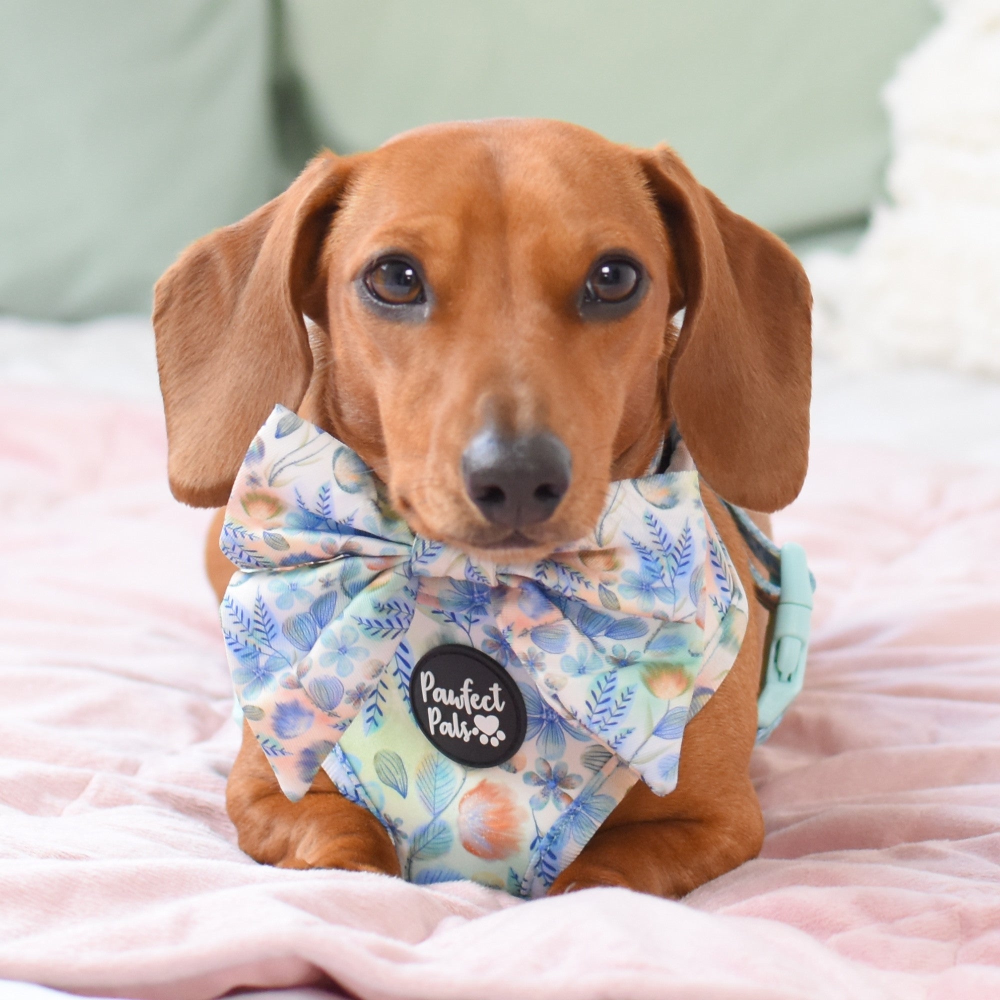Once Upon a Flower - Reversible Harness