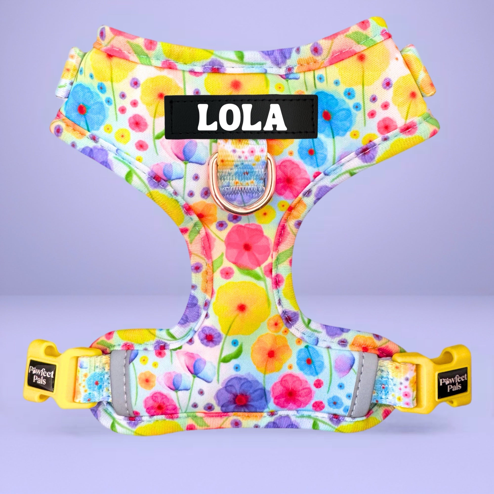 Once & Flor-All - Personalised Adjustable Harness Trio