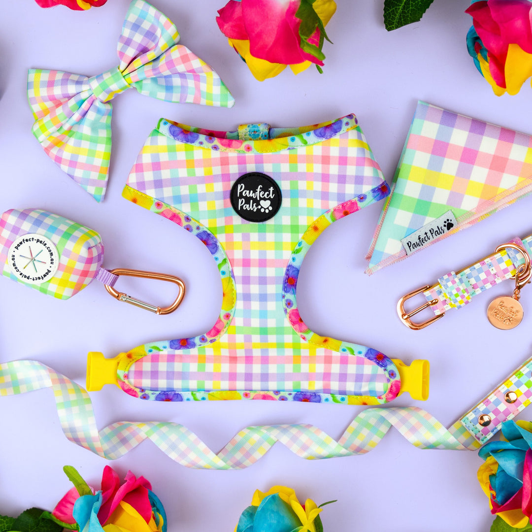 Once & Flor-All - Rainbow Gingham Walkies Pack