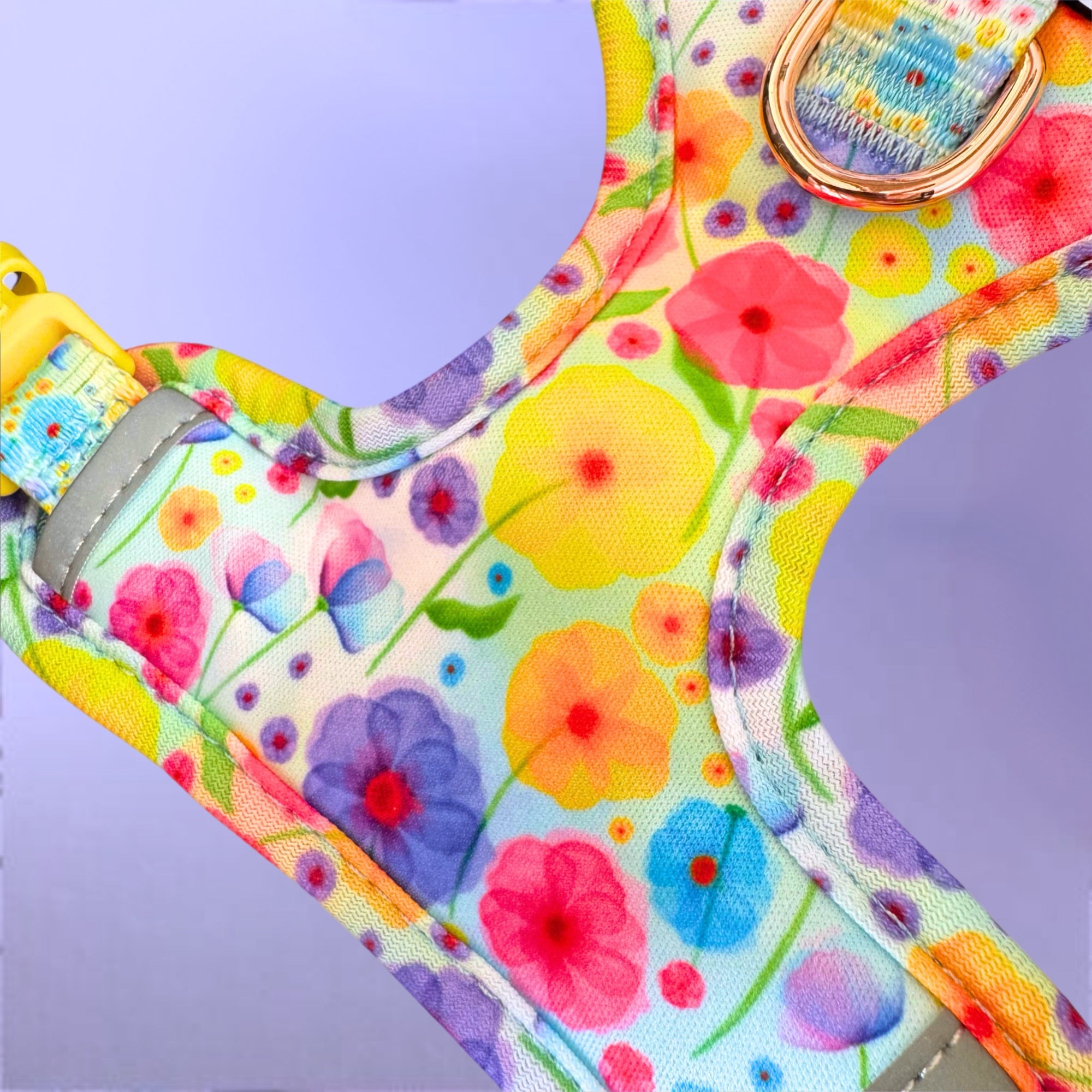 Once & Flor-All - Personalised Adjustable Harness Trio