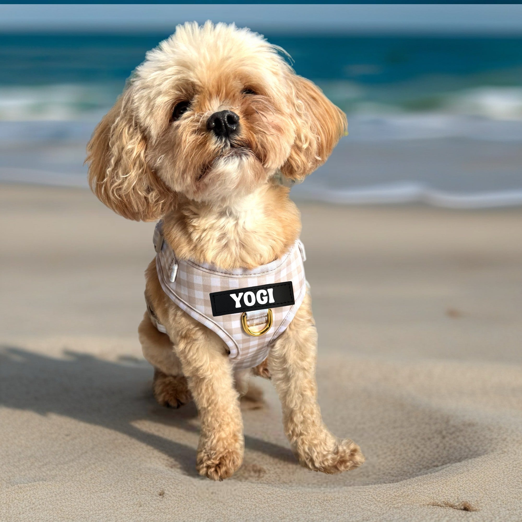 Beige Gingham - Personalised Adjustable Harness Trio