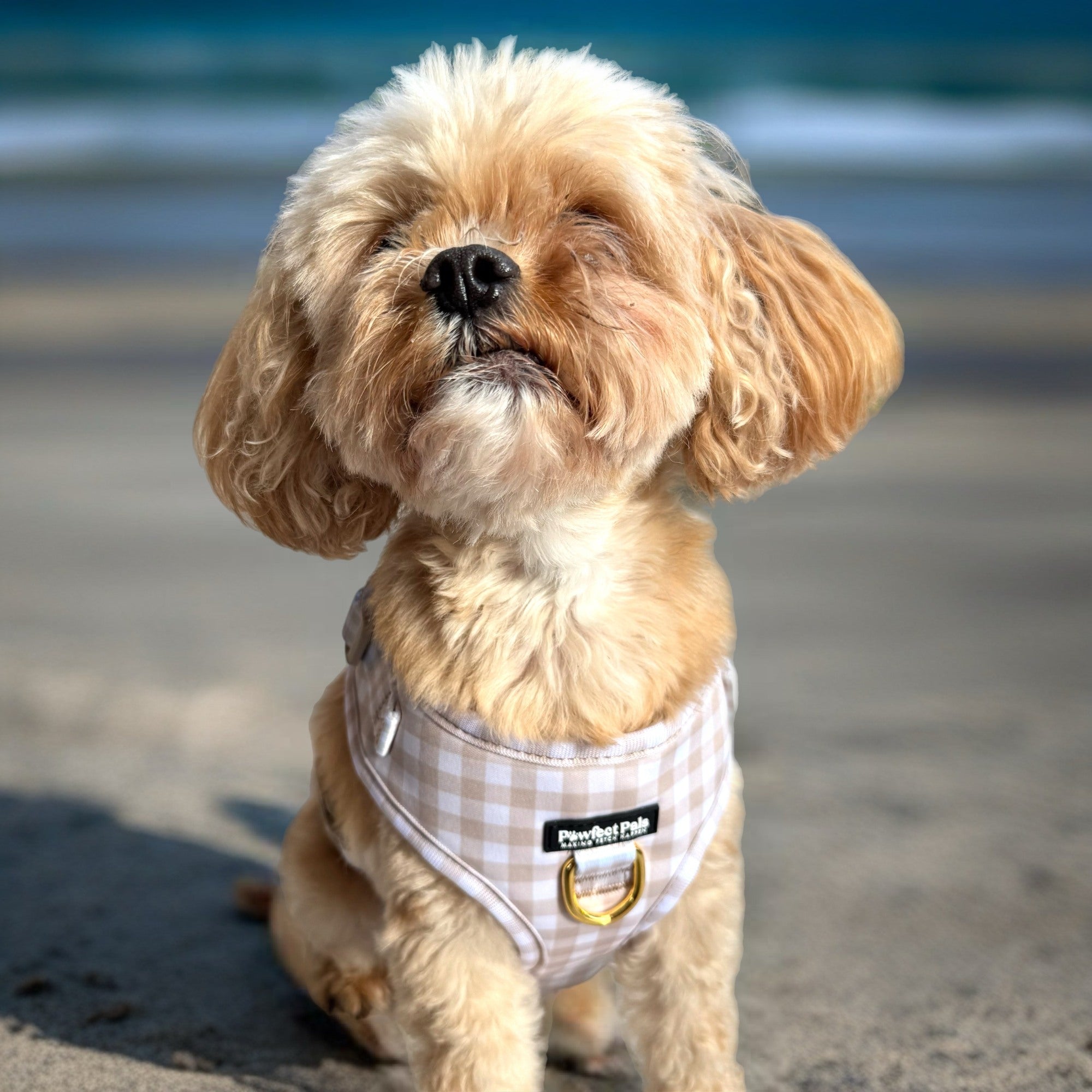 Beige Gingham - No-Pull Adjustable Harness