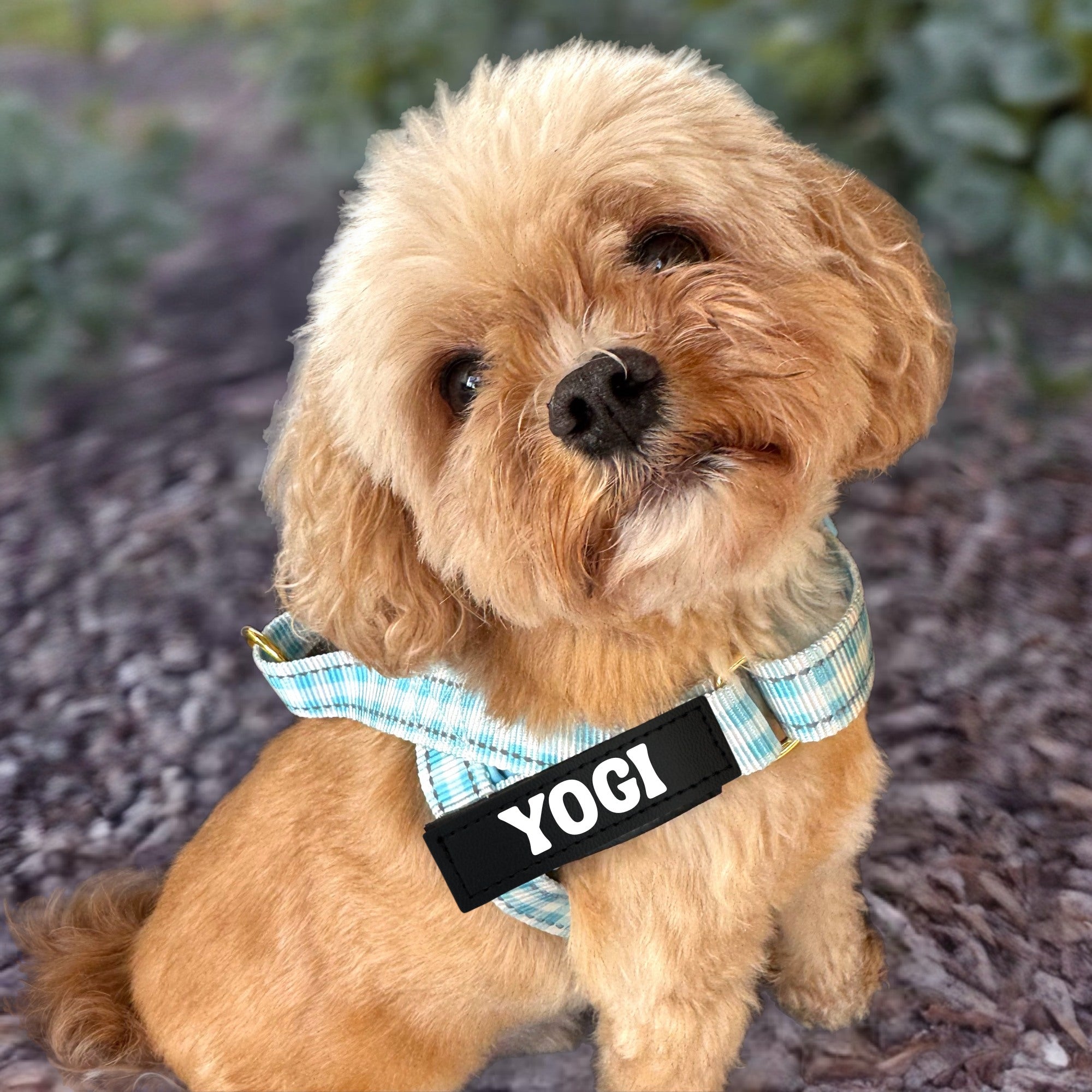 Blue Gingham - Personalised Strap Harness
