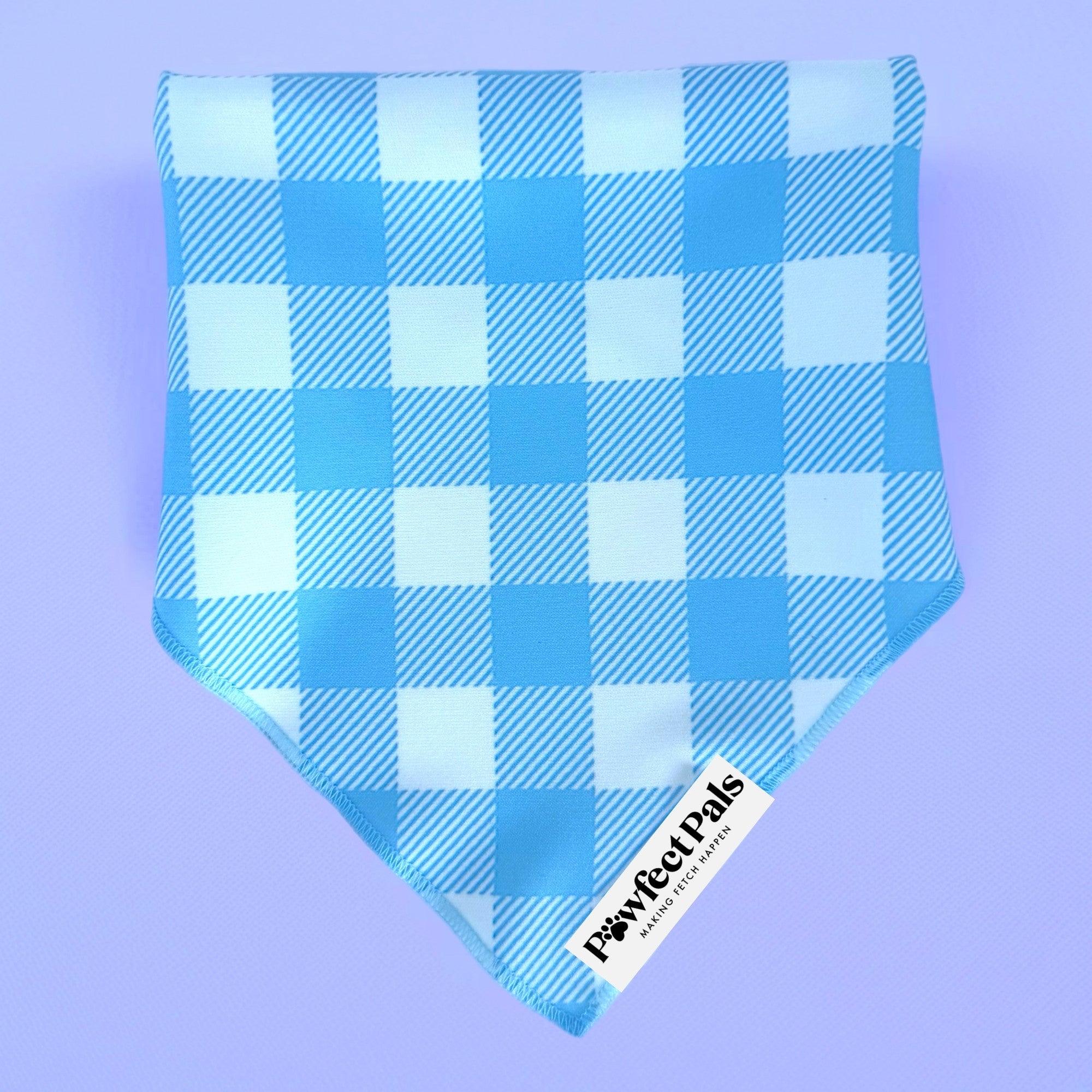 Blue Gingham - Cotton Bandana