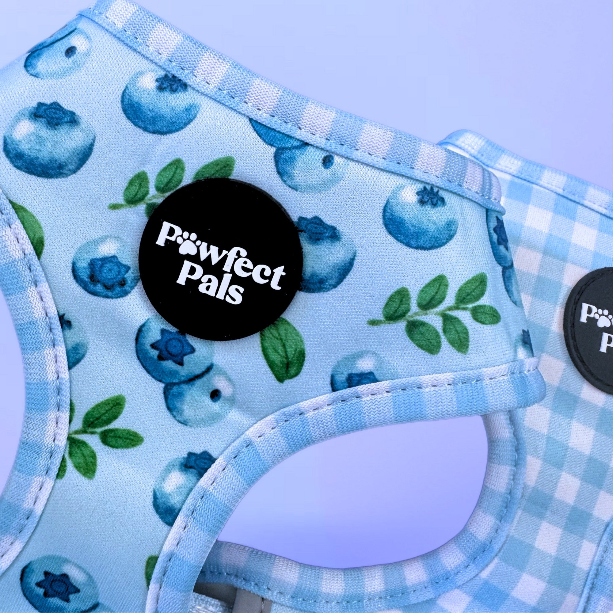 Blue Gingham - Reversible Dog Harness