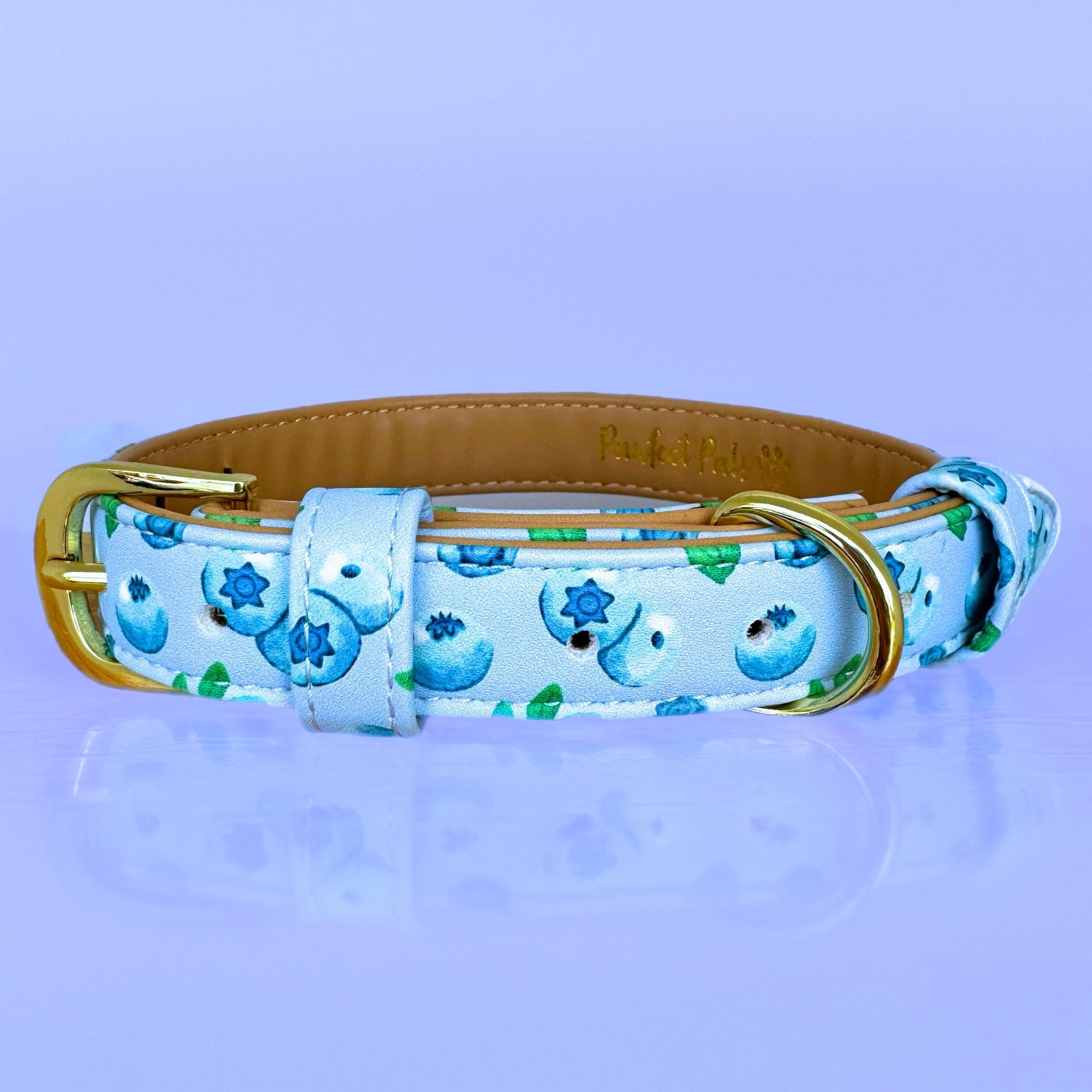Blueberry Baby - Dog Collar