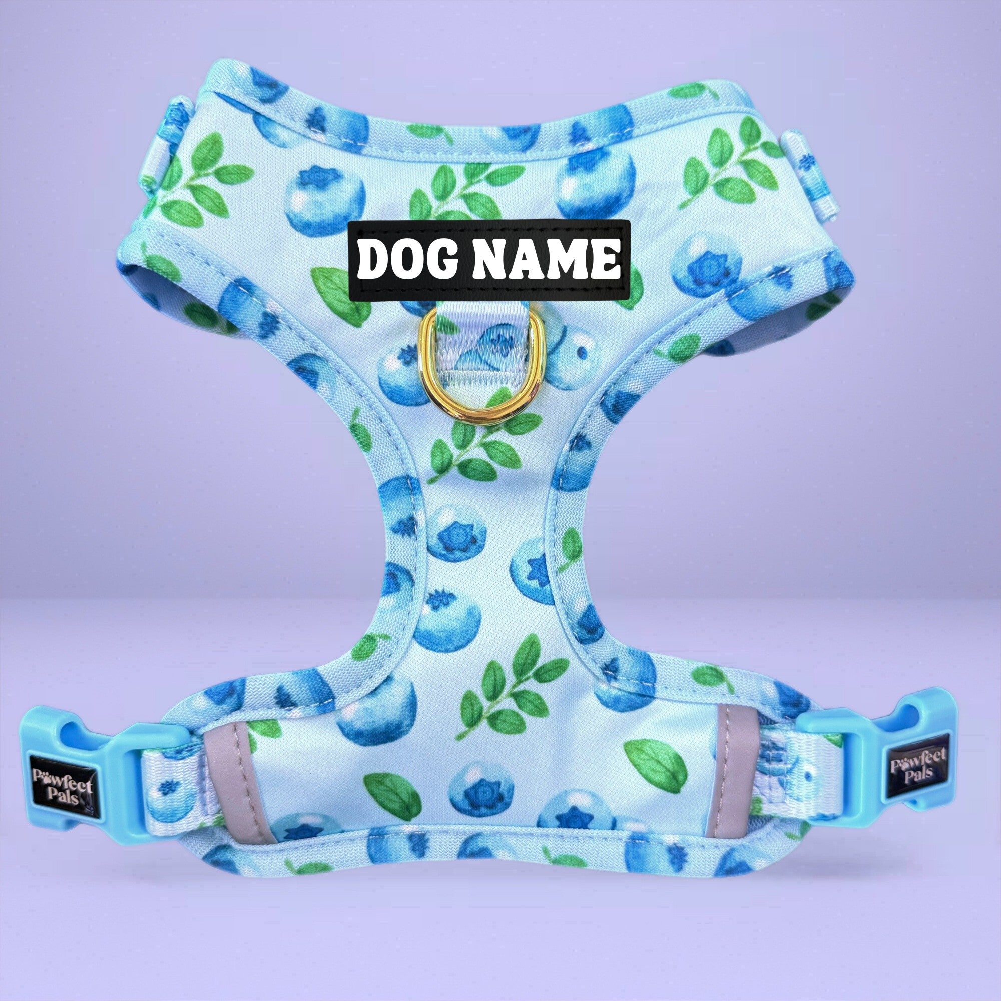 Blueberry Baby - No-Pull Adjustable Harness
