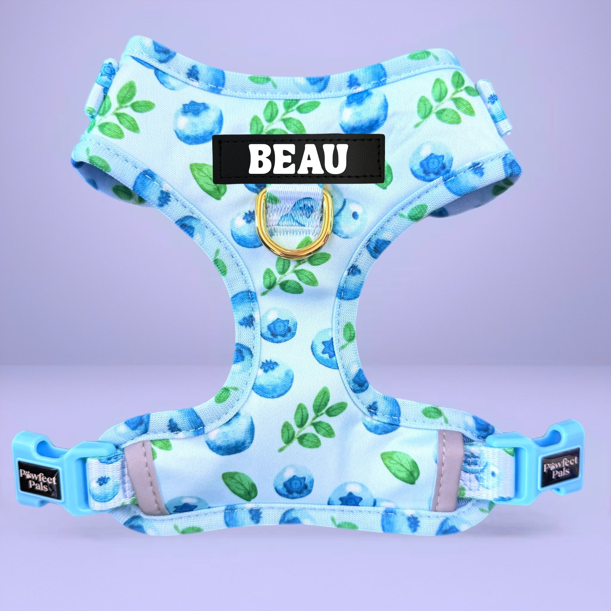 Blueberry Baby - No-Pull Adjustable Harness