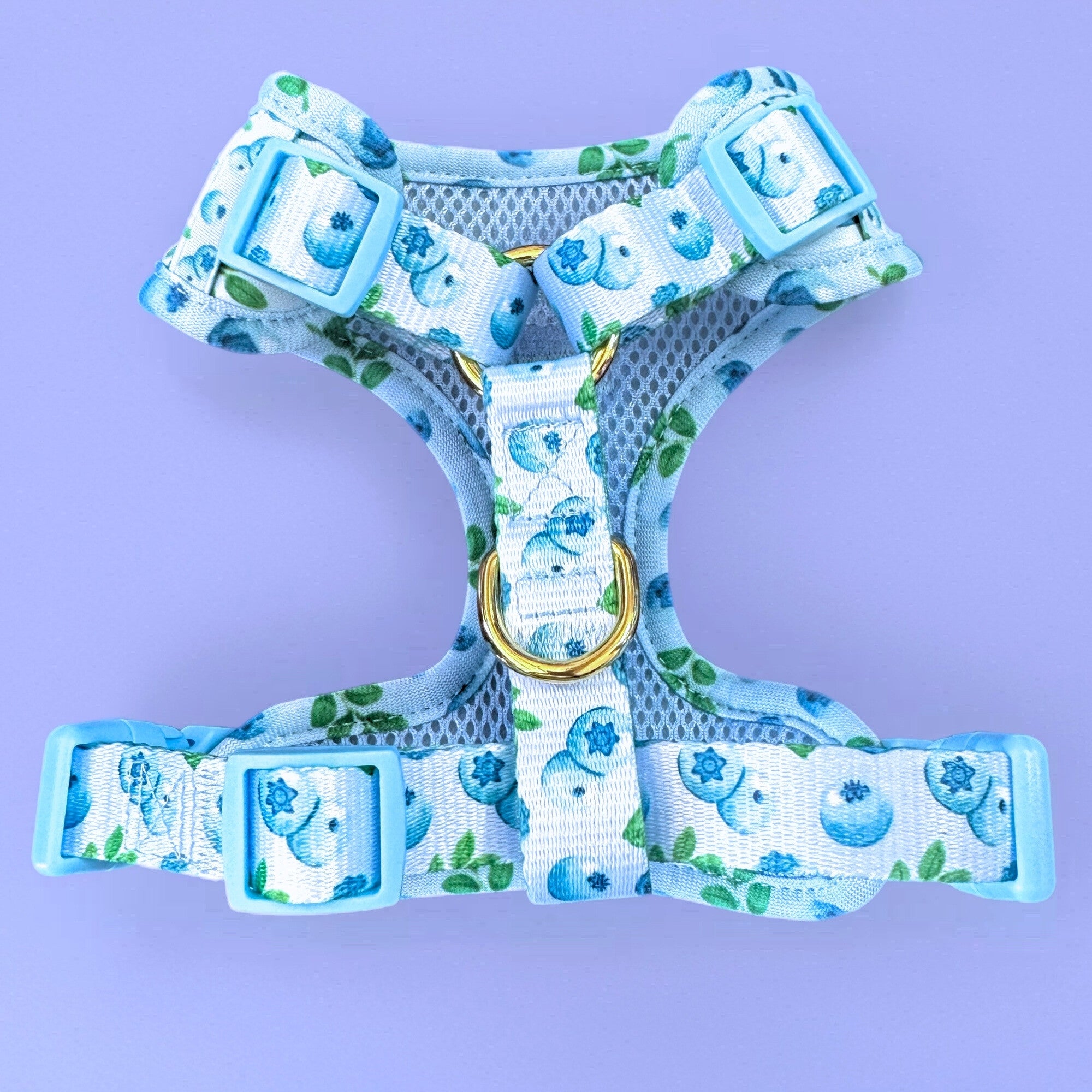 Blueberry Baby - No-Pull Adjustable Harness