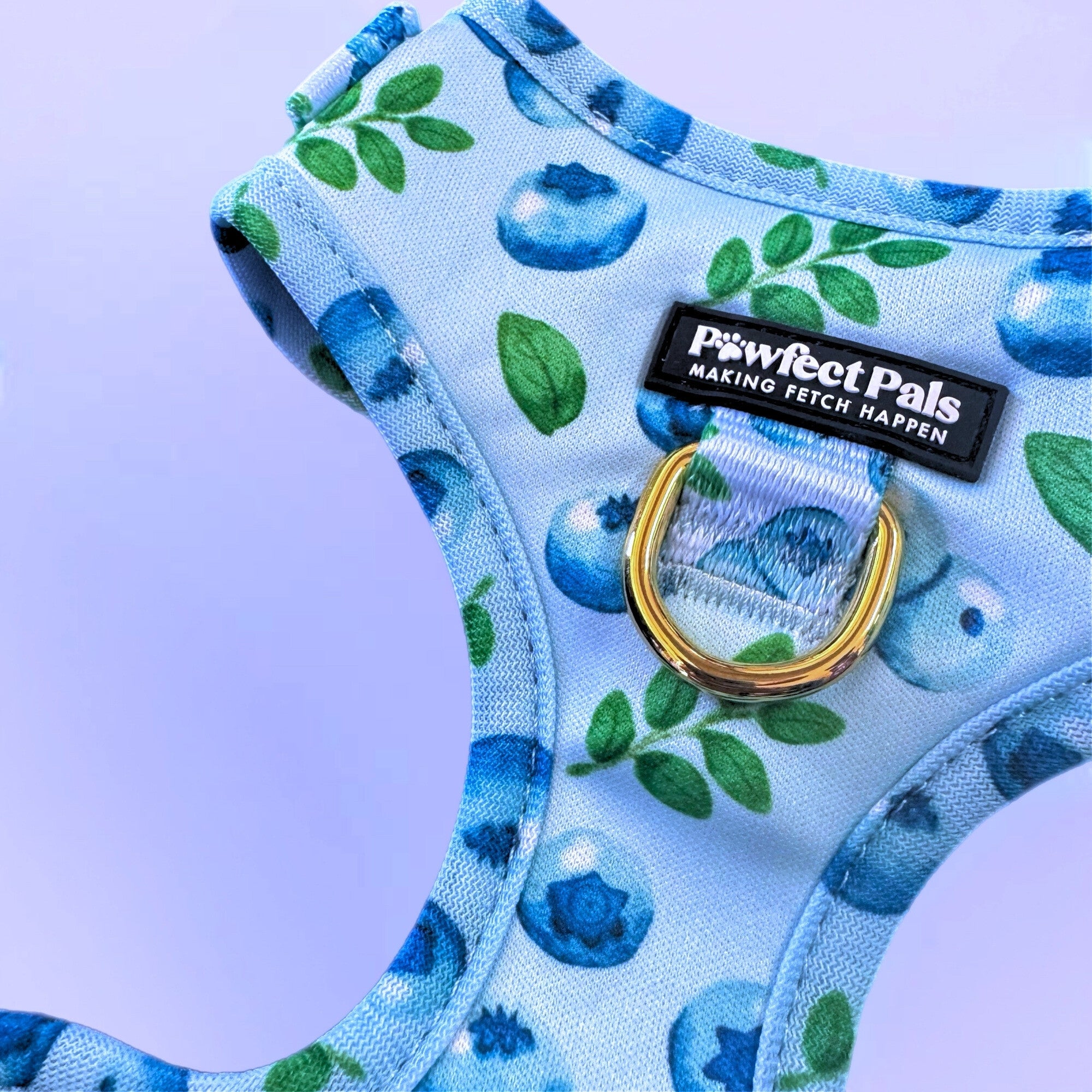 Blueberry Baby - No-Pull Adjustable Harness