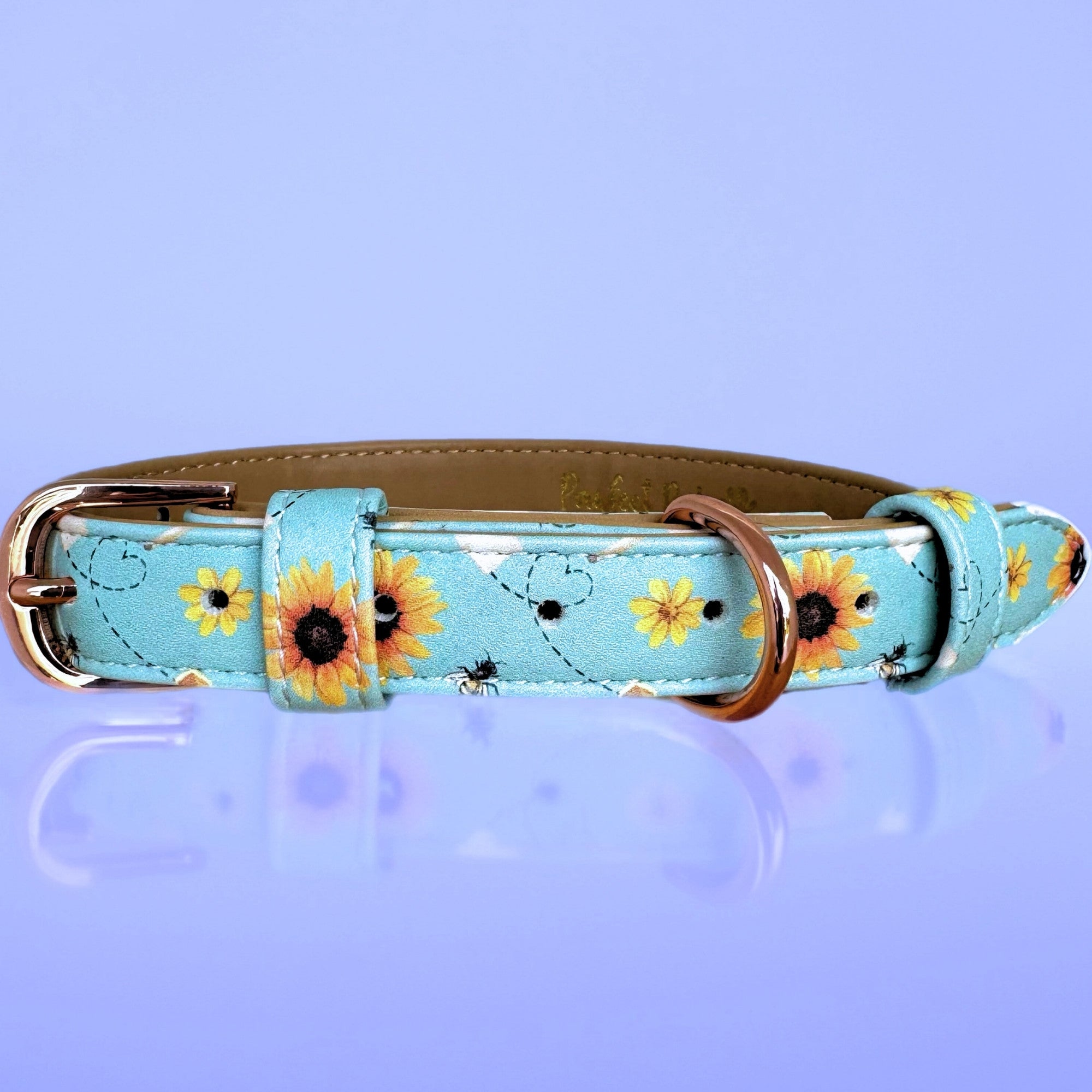 Honey Honey - Dog Collar