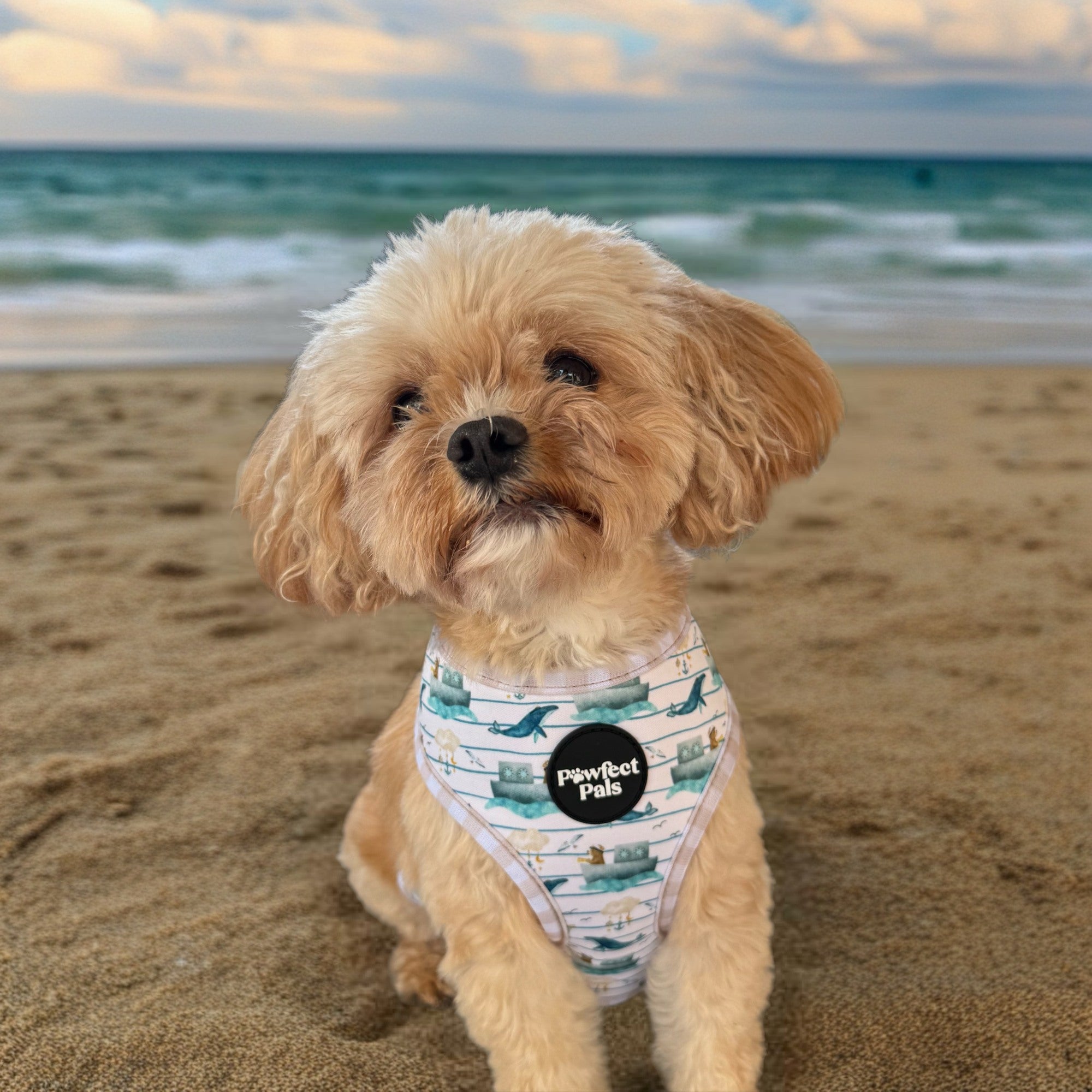 Beige Gingham / Sailor Bear - Reversible Dog Harness