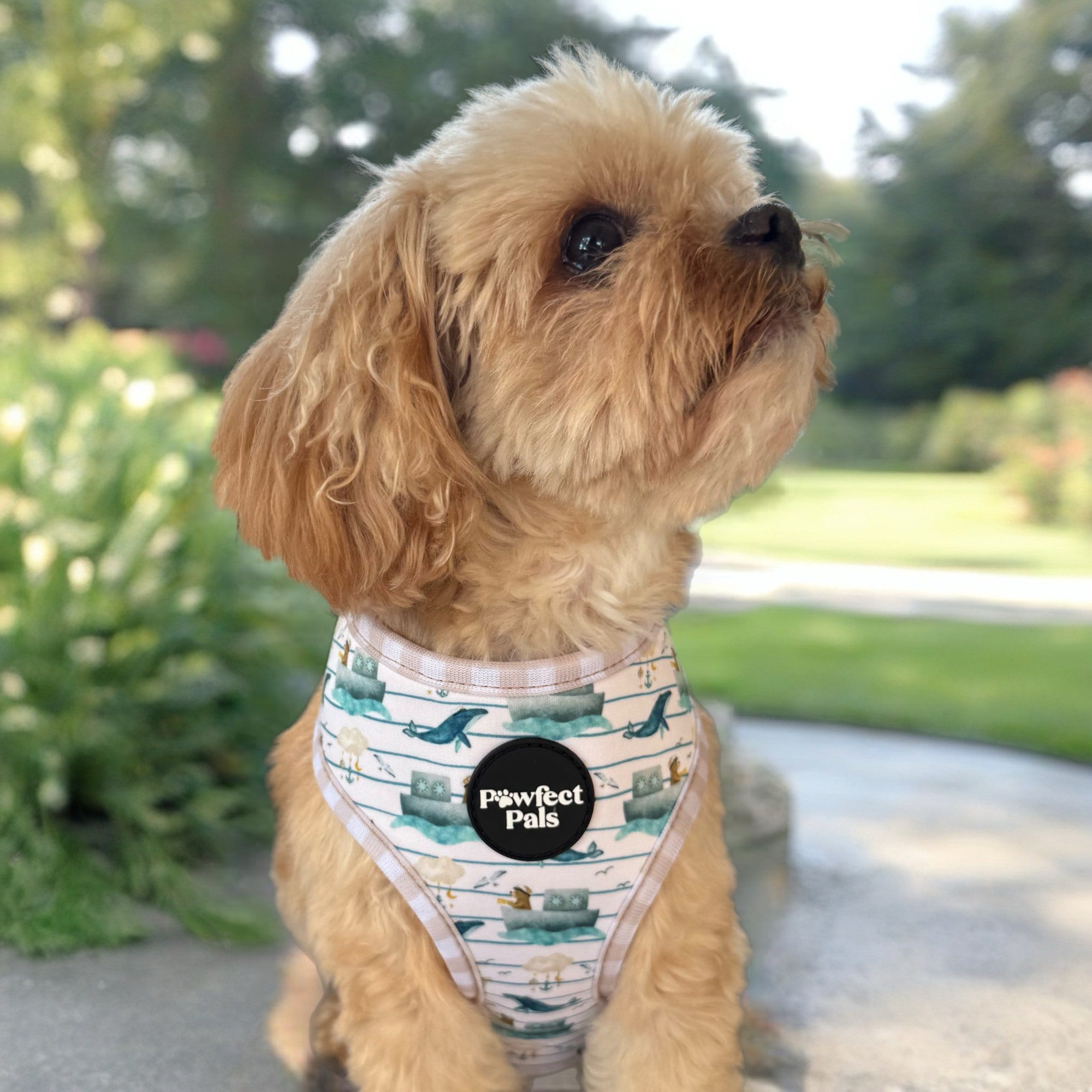 Beige Gingham / Sailor Bear - Reversible Dog Harness