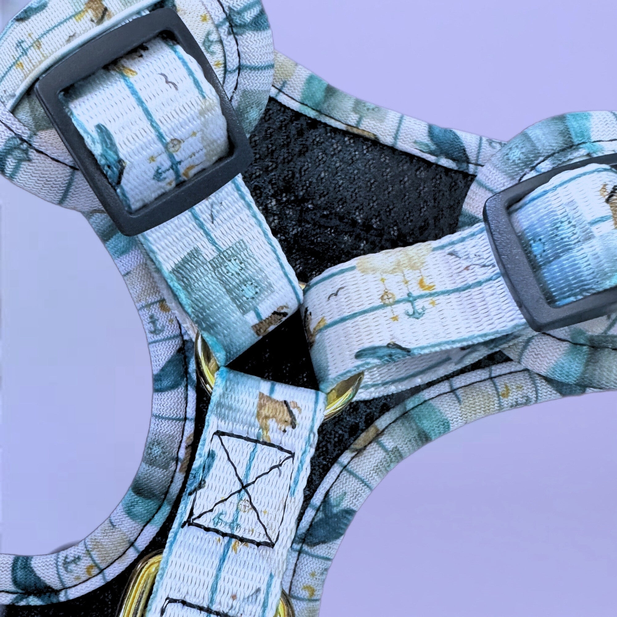 Sailor Bear - Personalised Adjustable Harness Duo