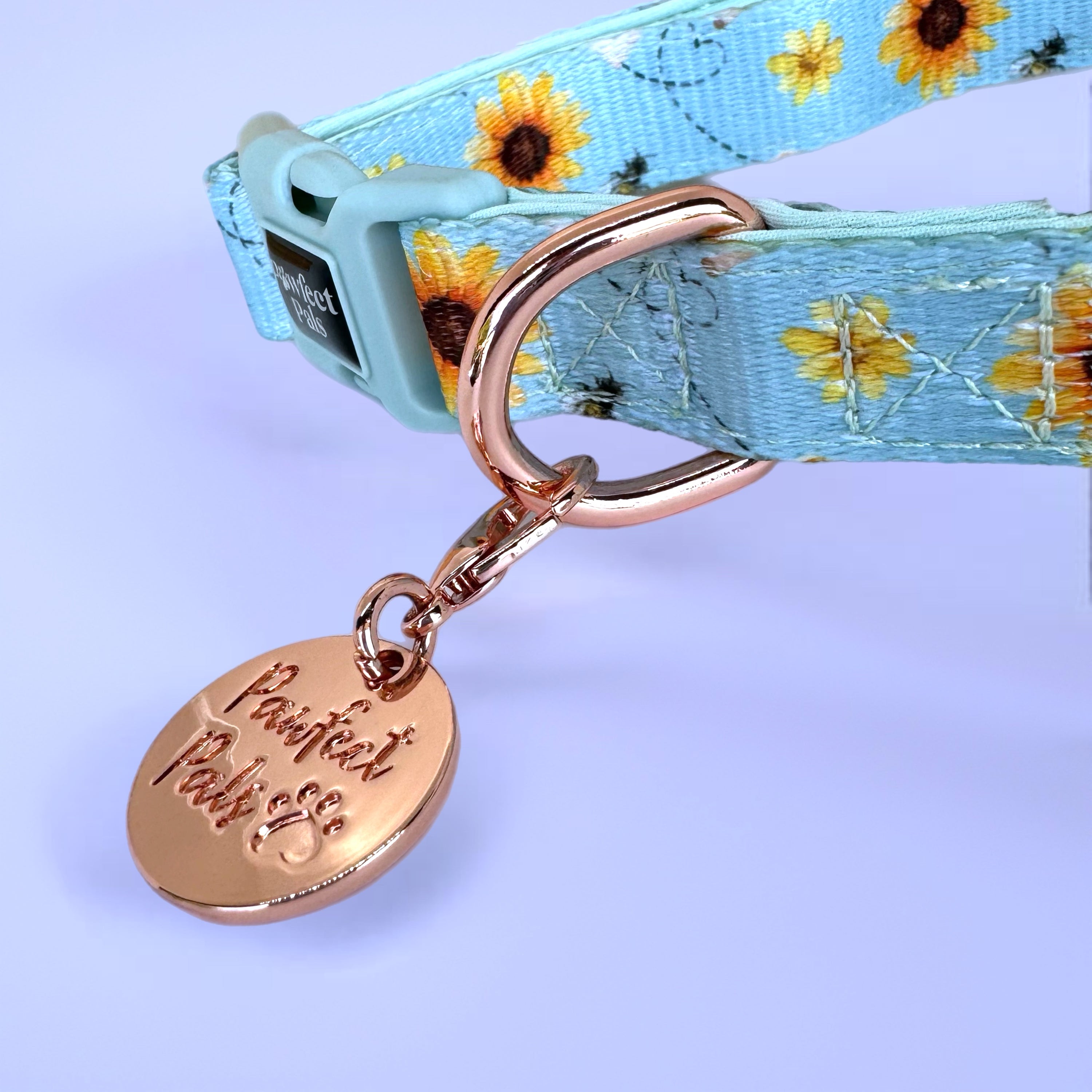 Honey Honey - Soft Dog Collar