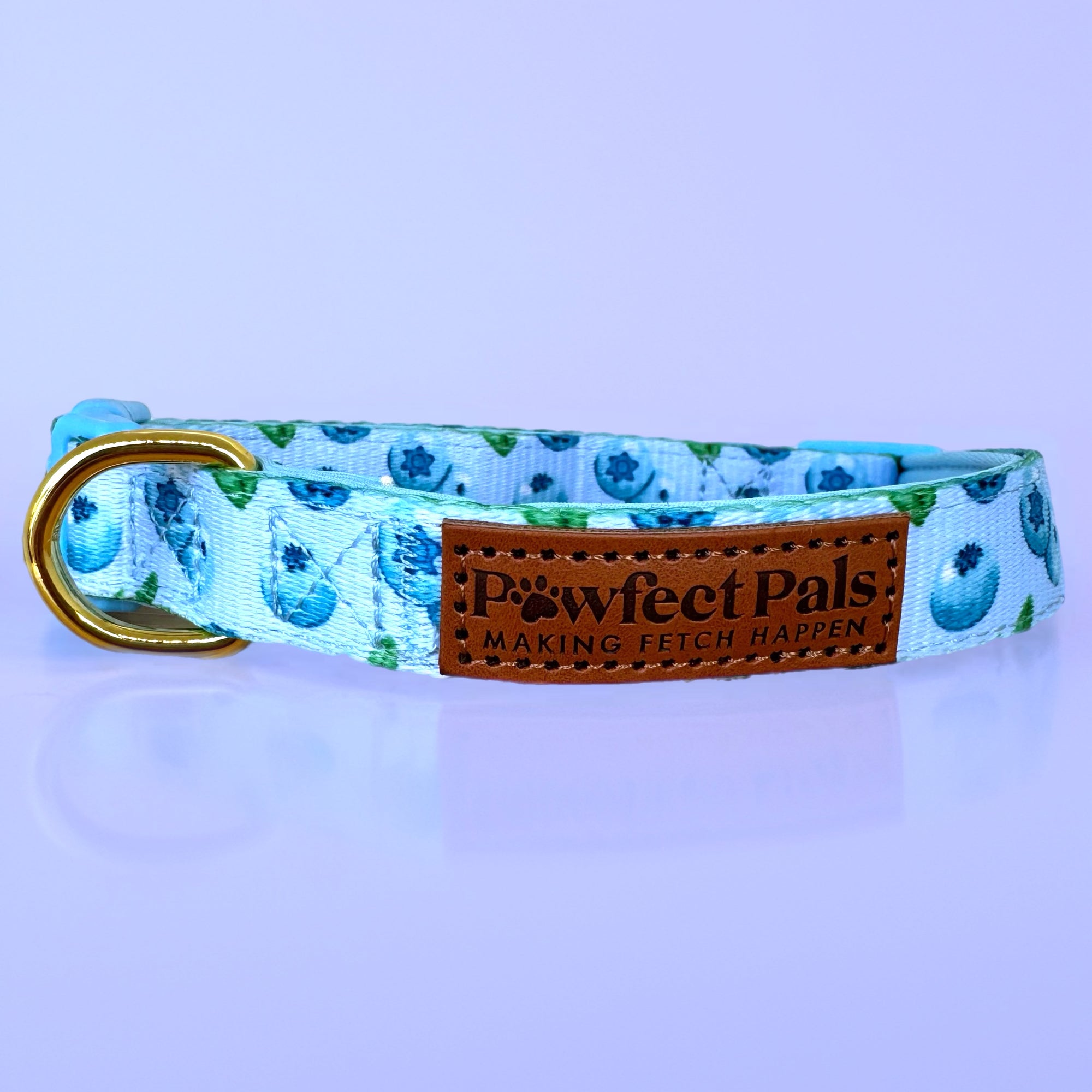 Blueberry Baby - Soft Dog Collar