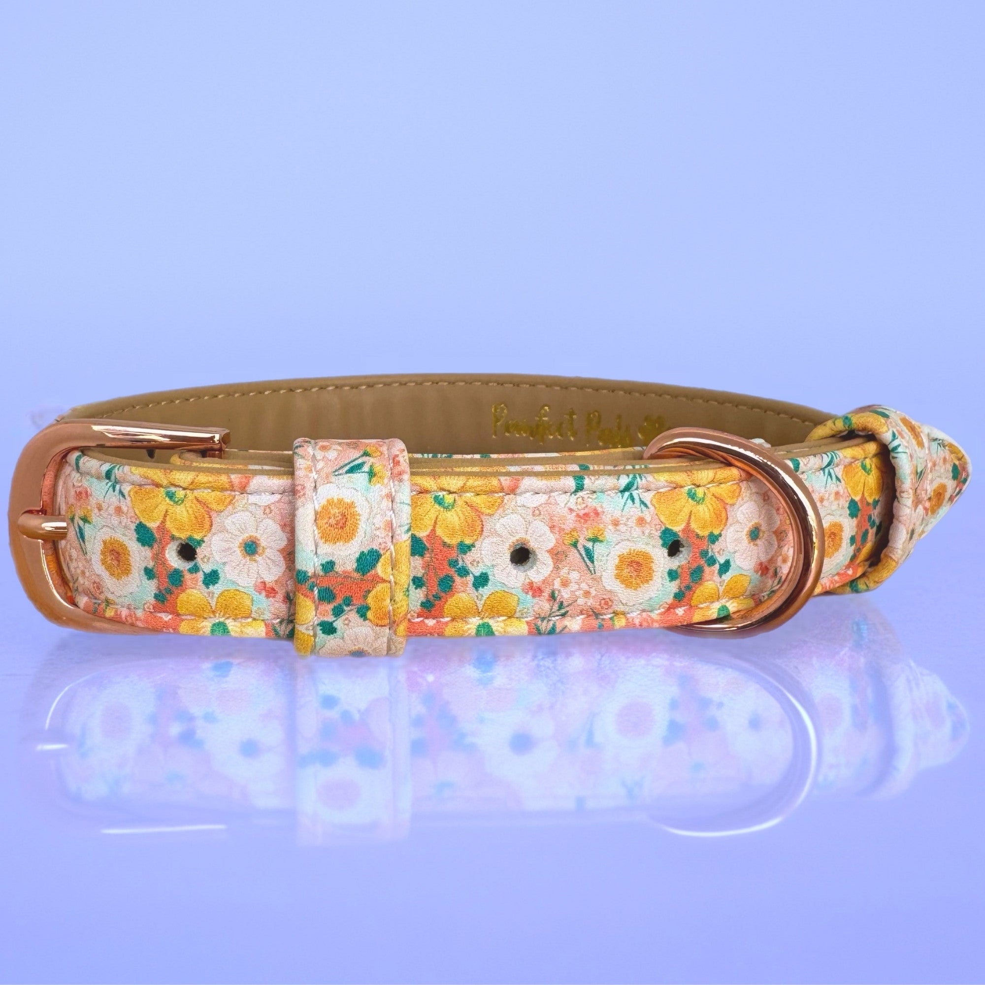 Summer Field - Dog Collar