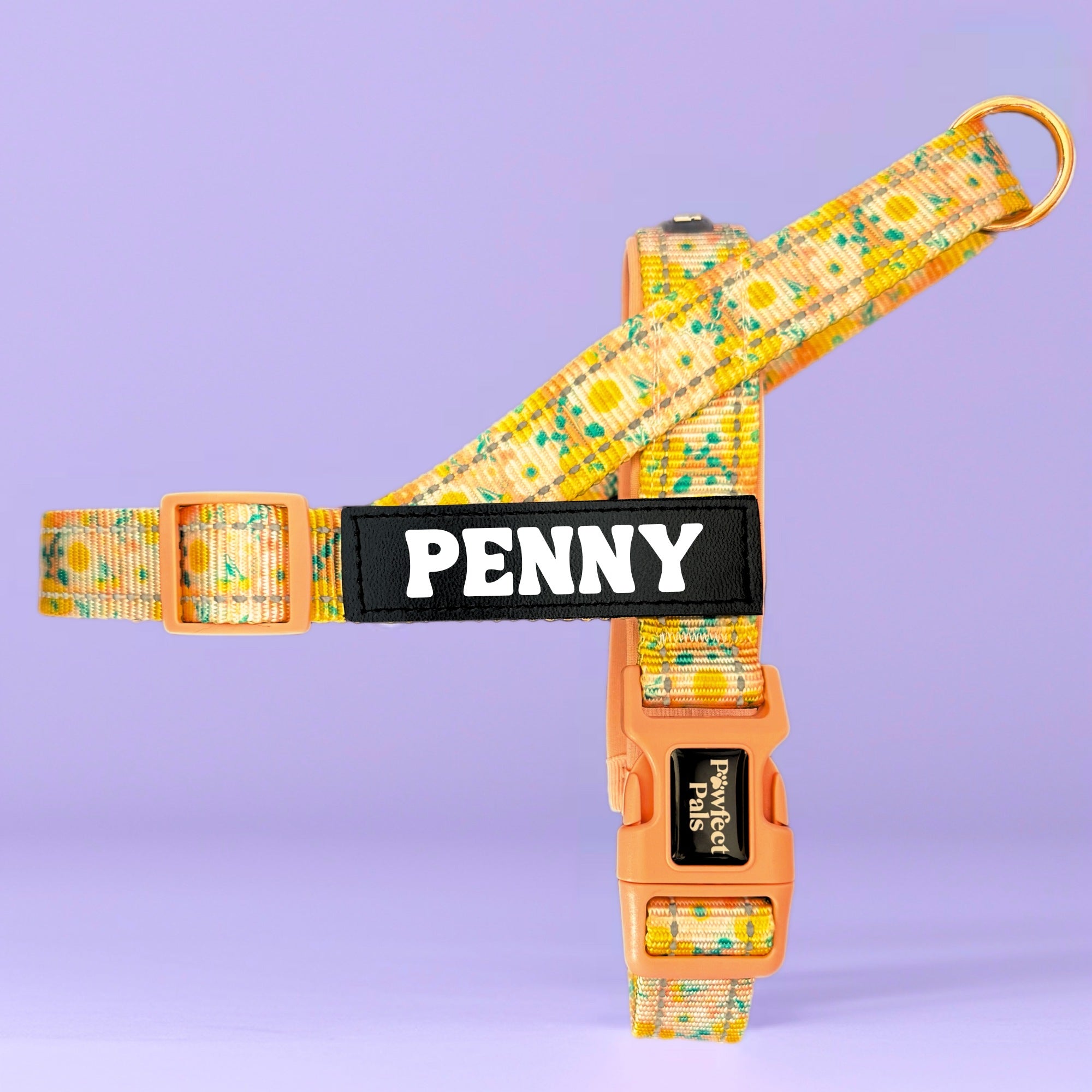 Summer Field - Personalised Strap Harness