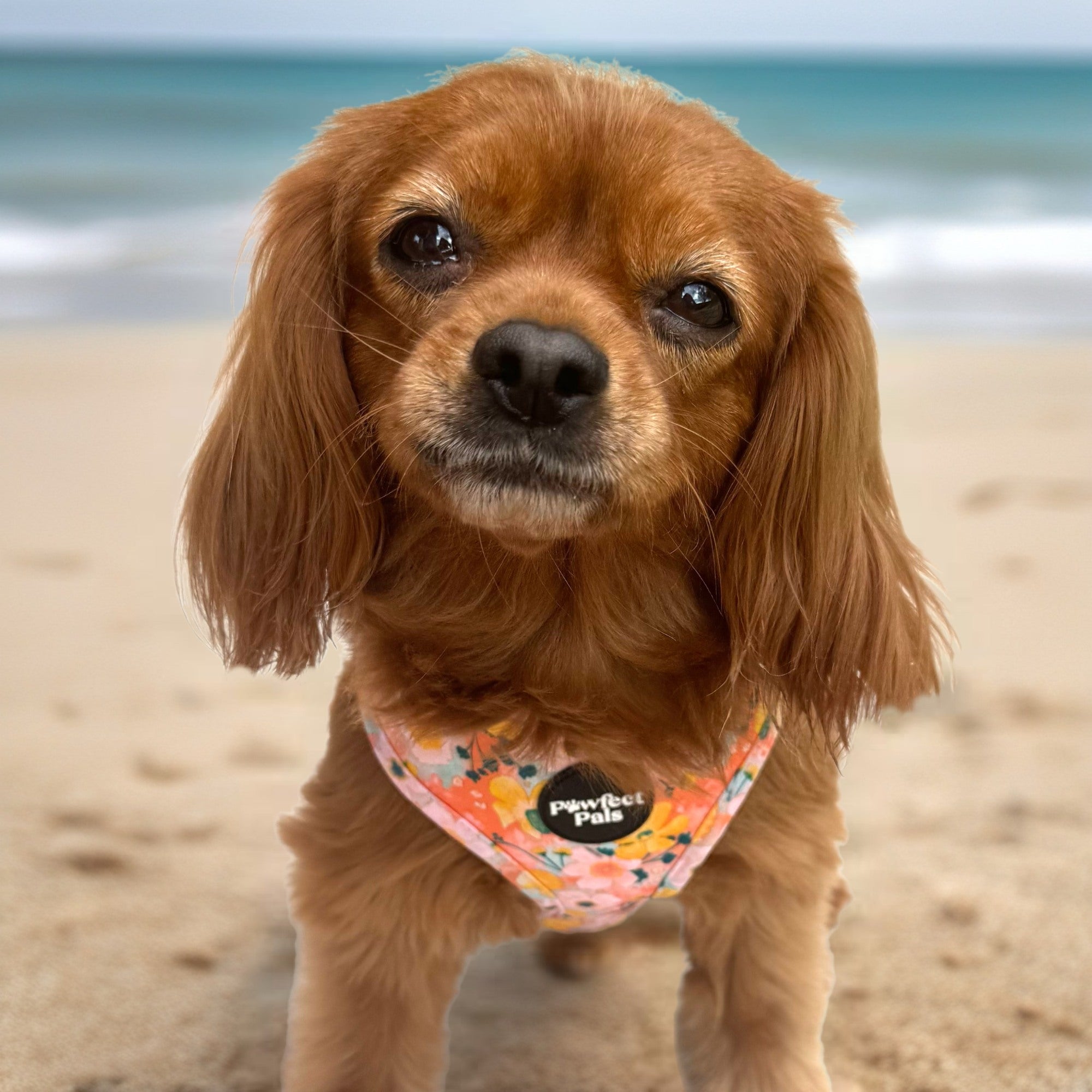 Summer Field/The Lakes - Reversible Harness