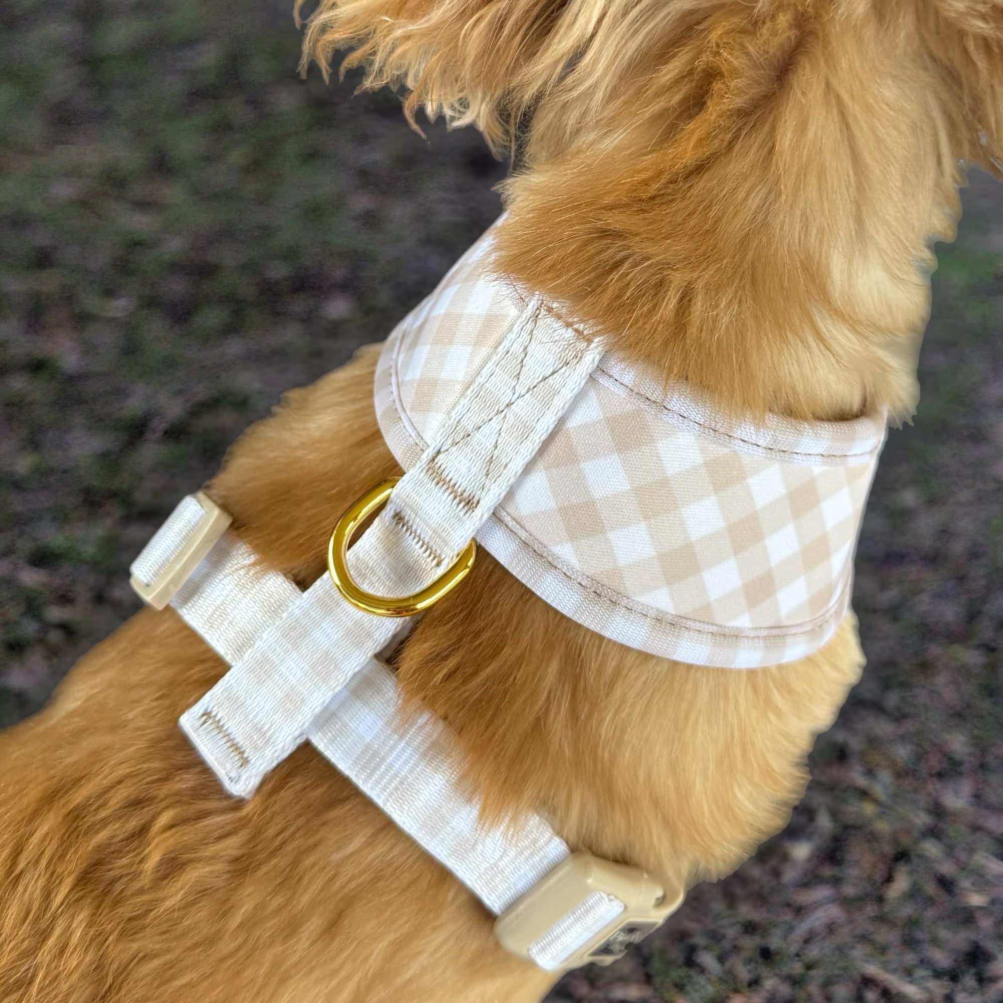 Beige Gingham / Sailor Bear - Reversible Dog Harness