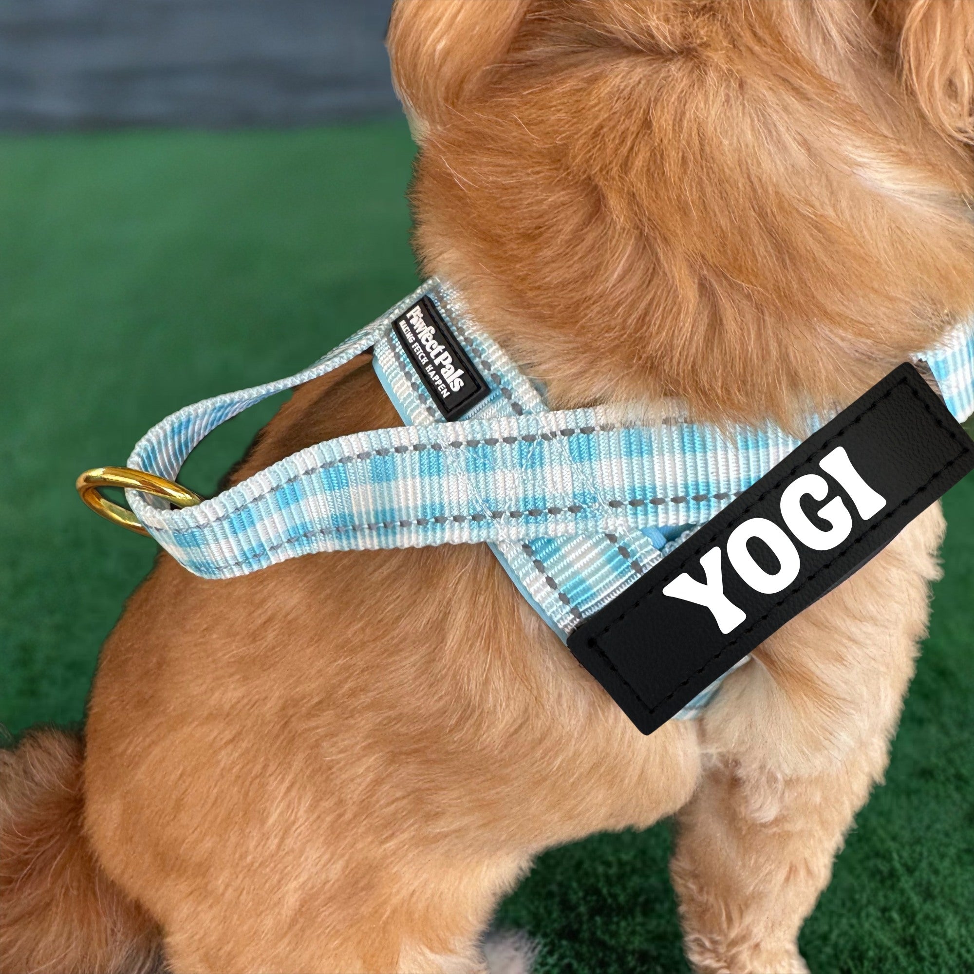 Blue Gingham - Personalised Strap Harness Trio