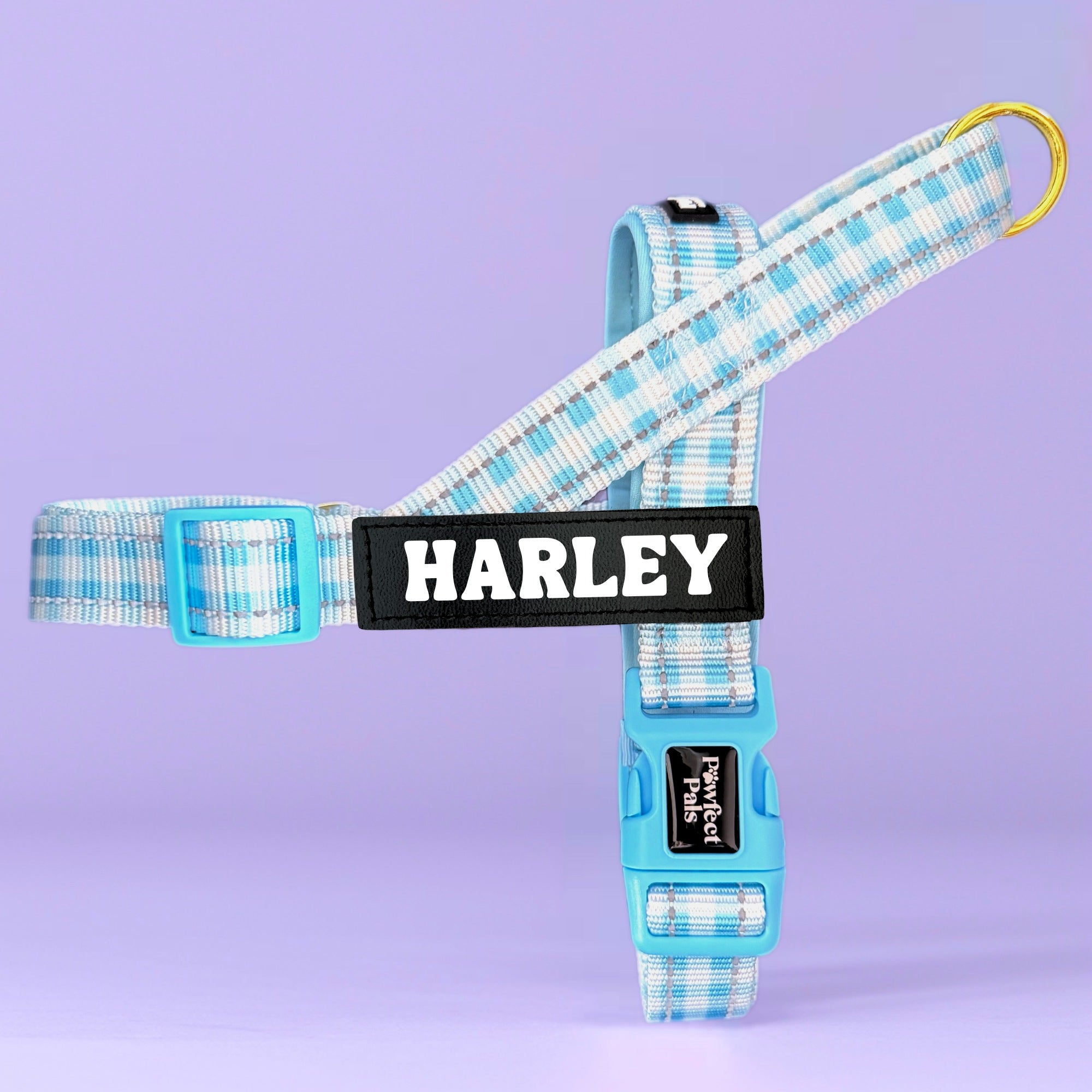 Blue Gingham - Personalised Strap Harness Trio