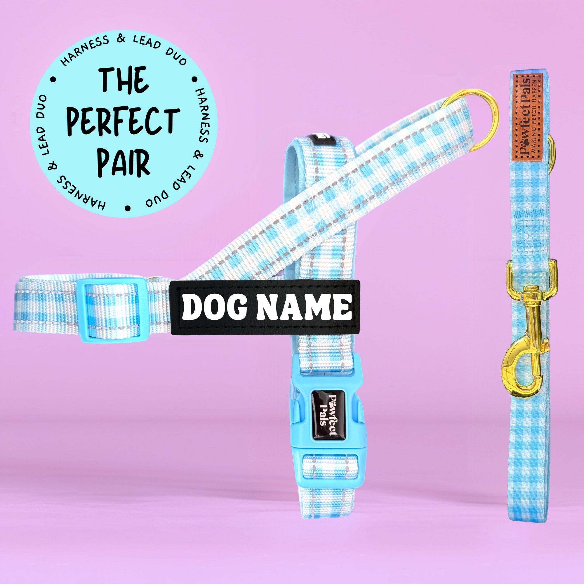 Blue Gingham - Personalised Strap Harness Duo