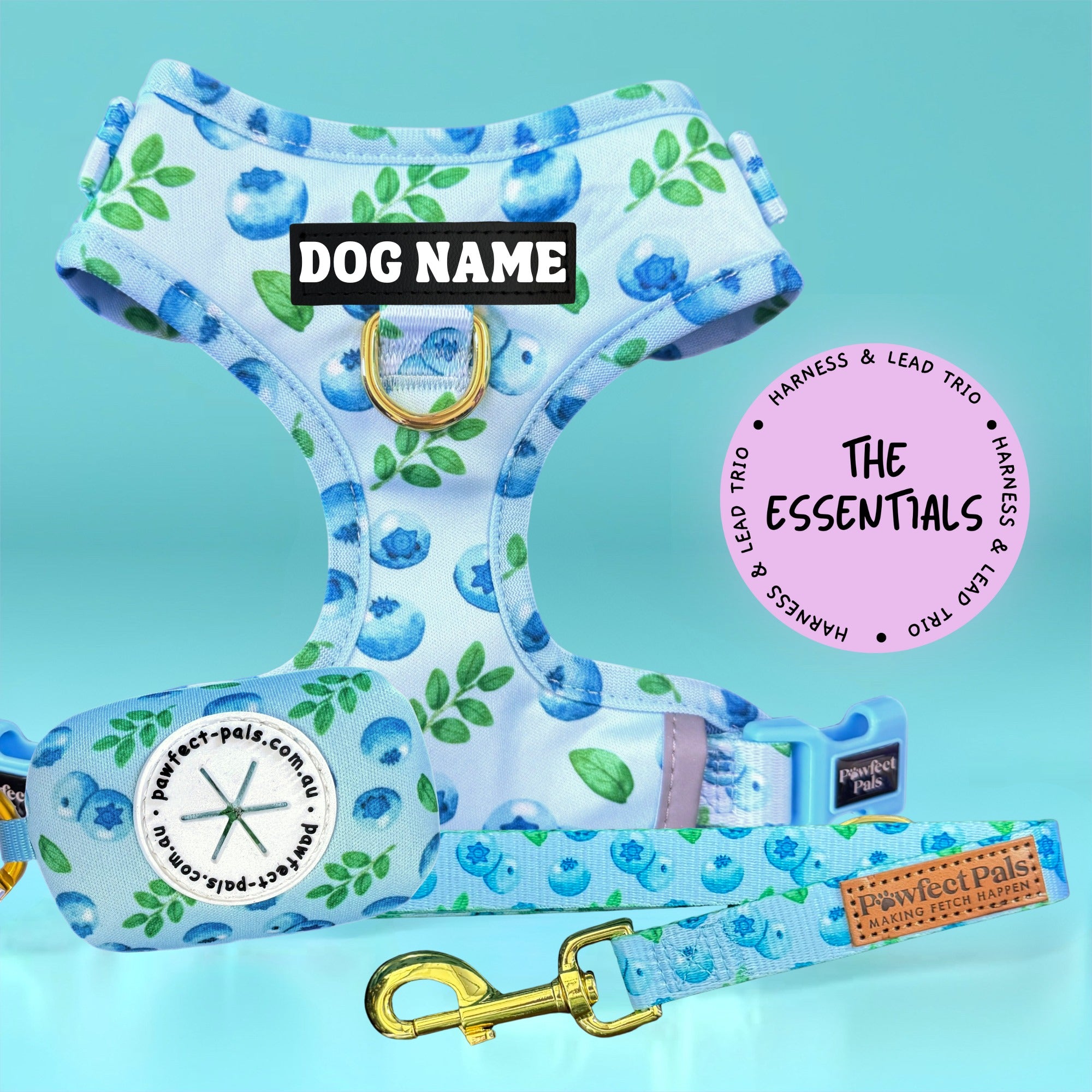 Blueberry Baby - Personalised Adjustable Harness Trio