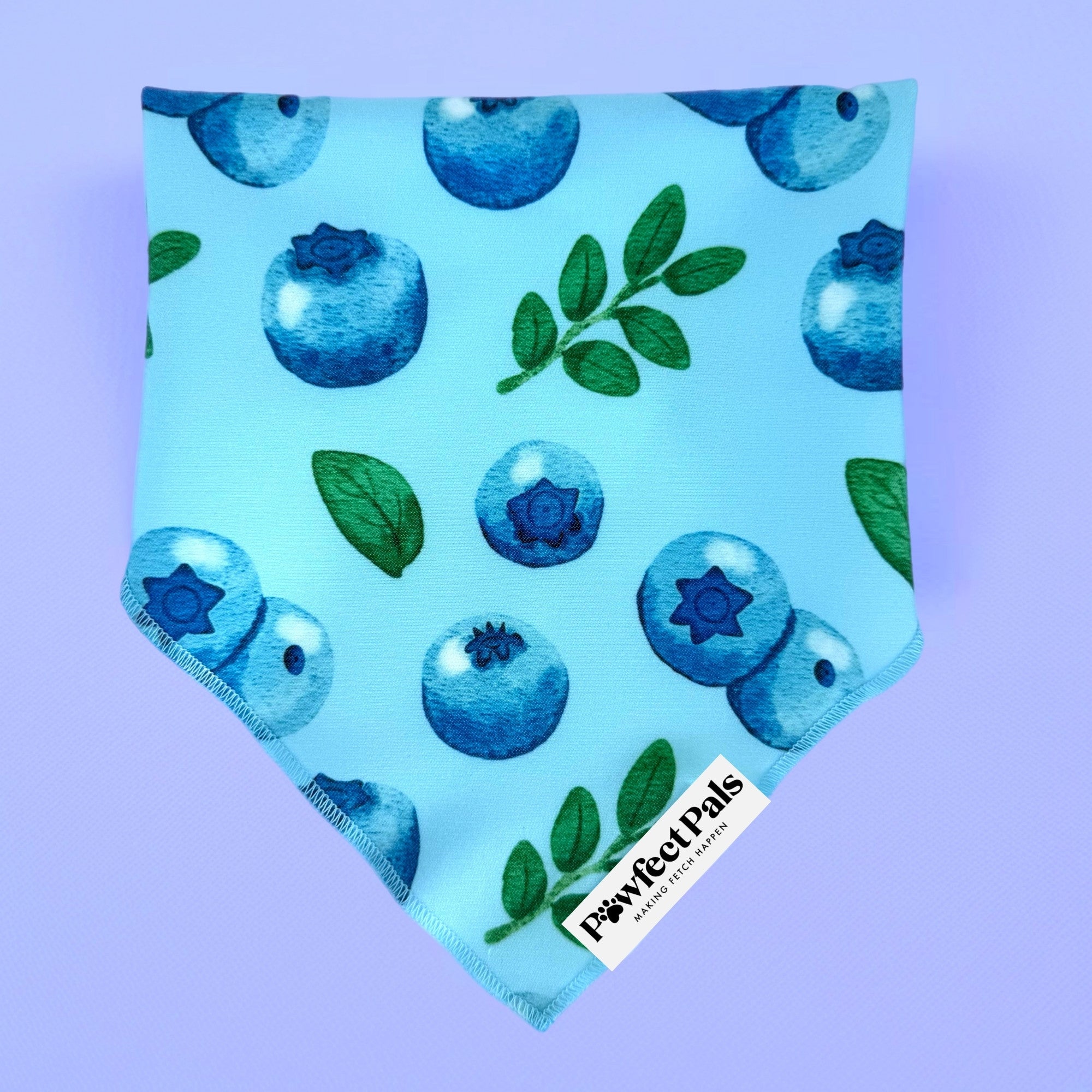 Blueberry Baby - Cotton Bandana