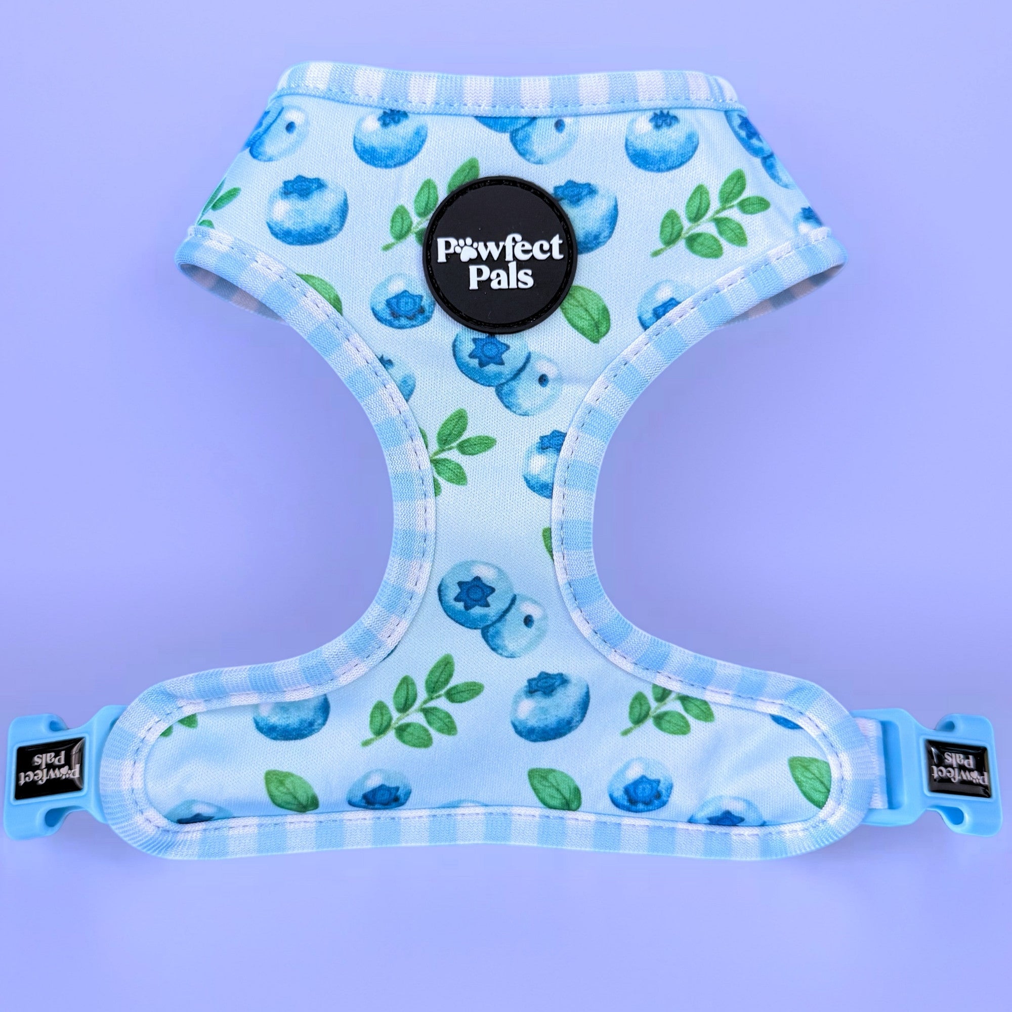Blue Gingham - Reversible Dog Harness