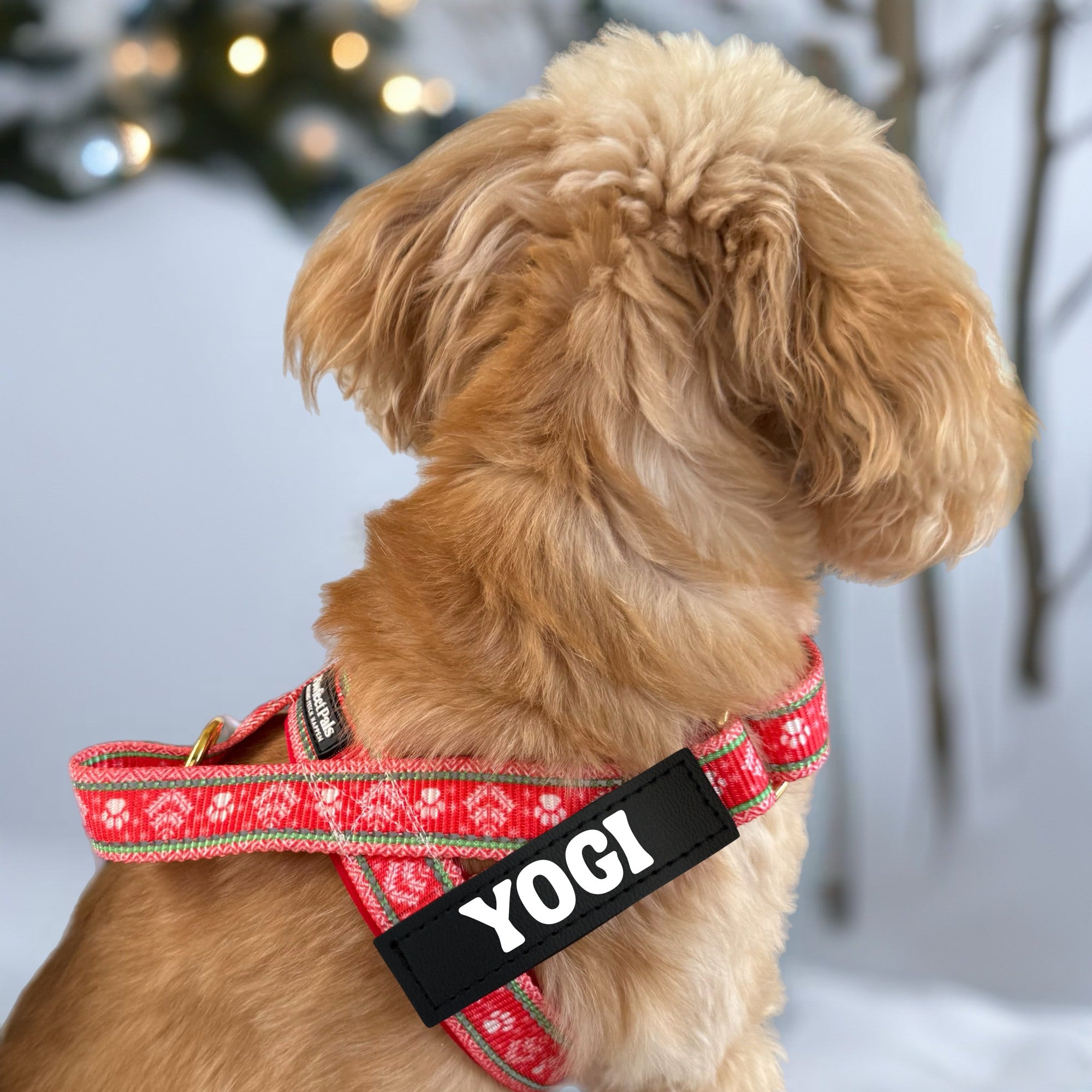 Sleigh-In It - Personalised Strap Harness