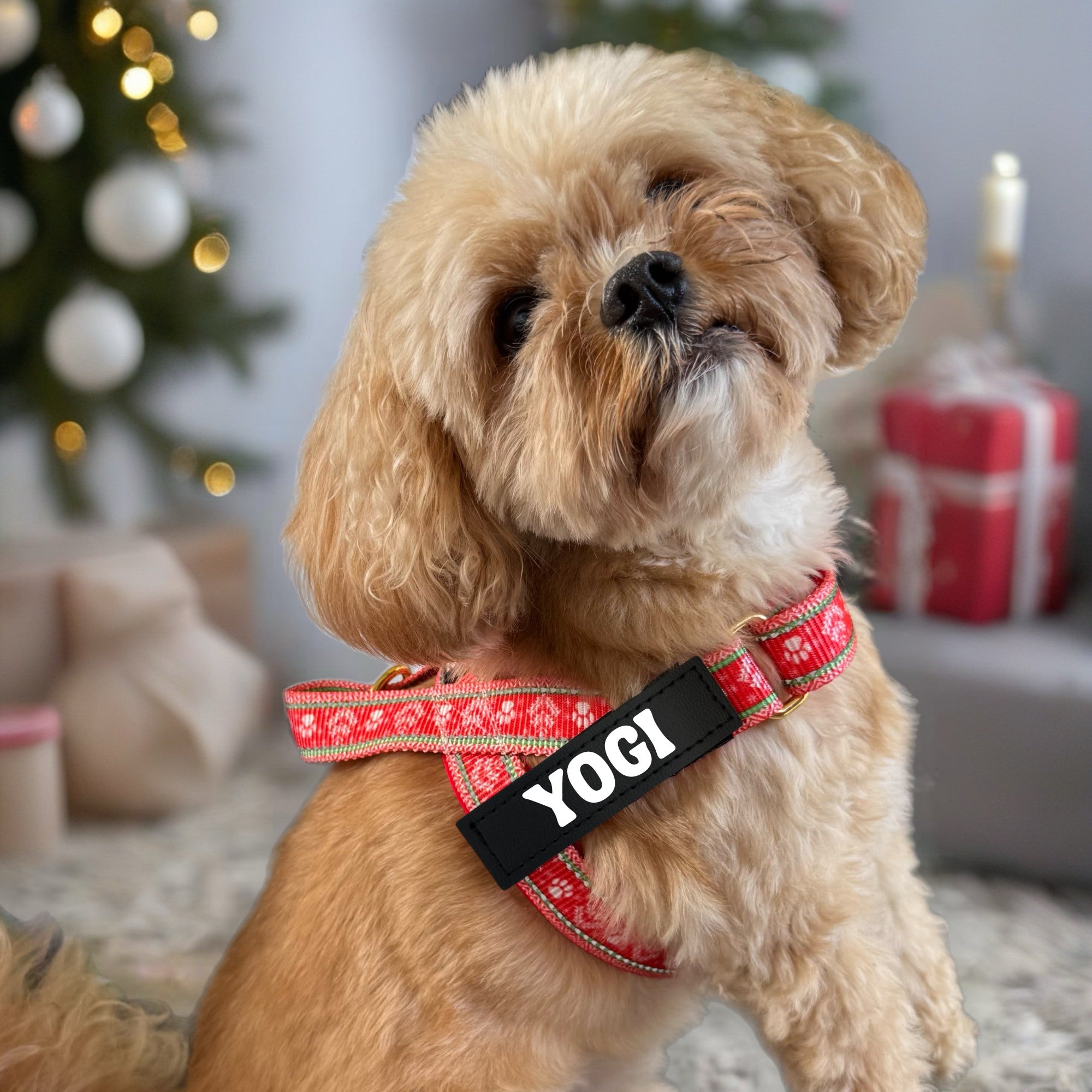 Sleigh-In It - Personalised Strap Harness