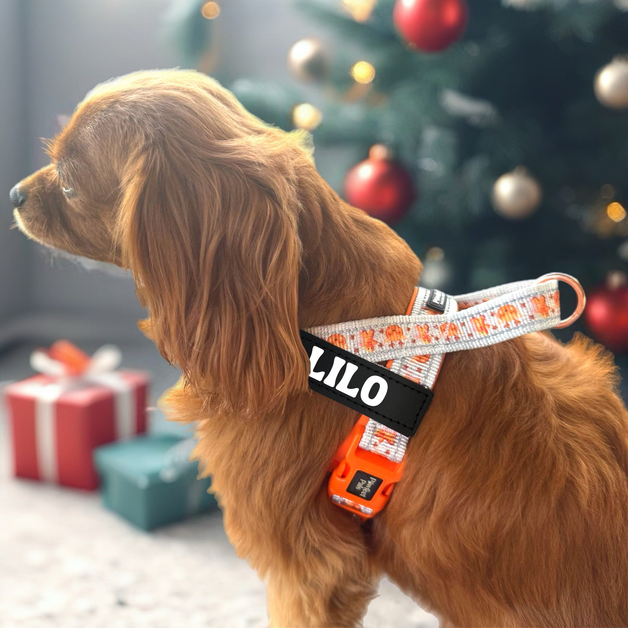 Snow Cute - Personalised Strap Harness